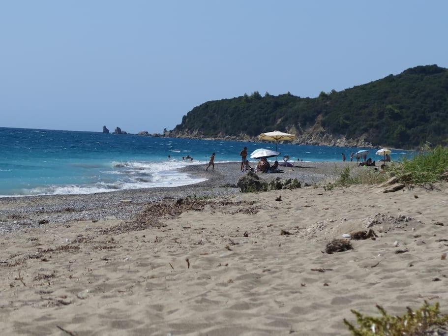 rizoma