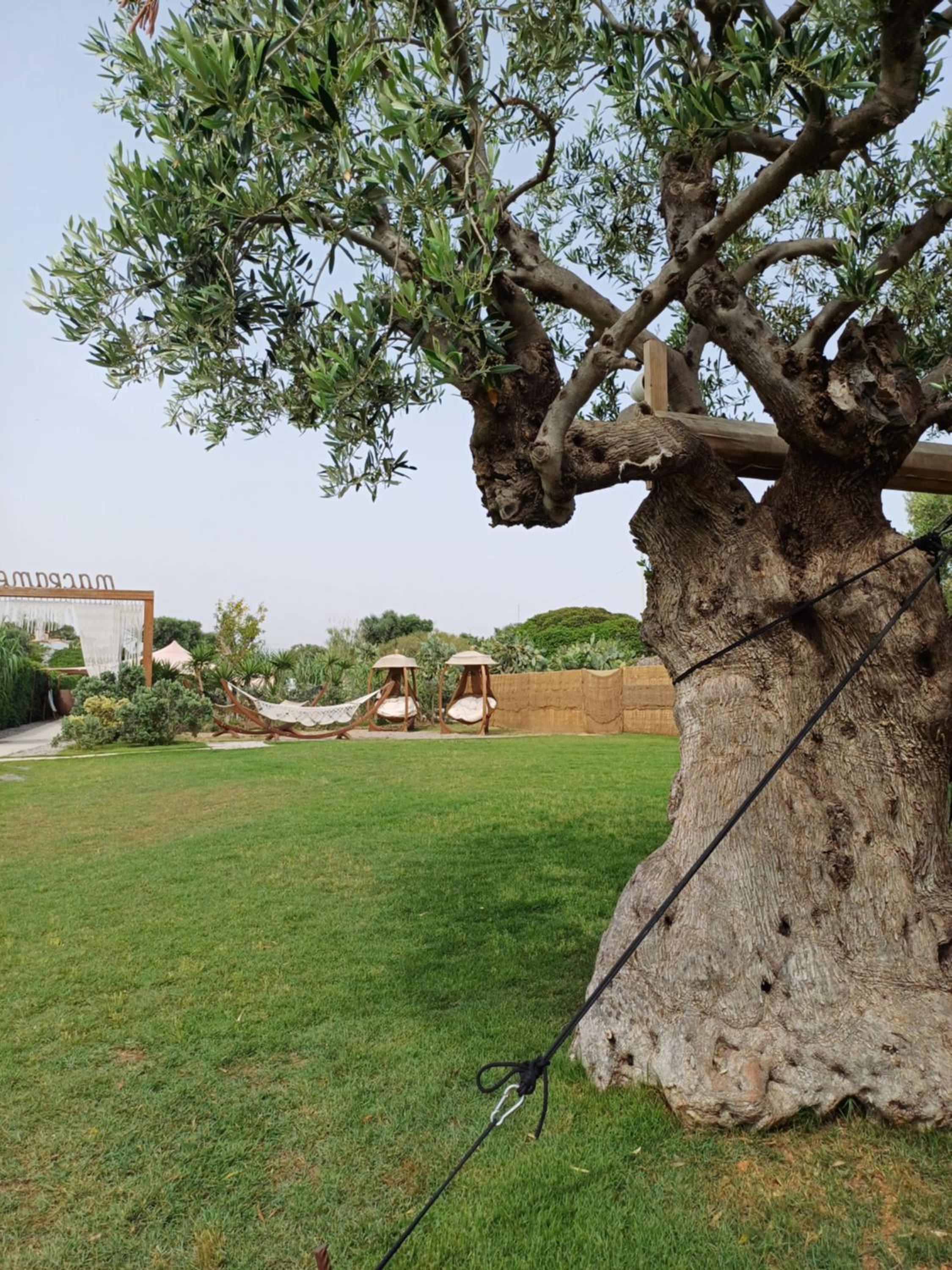 A casa del mercante