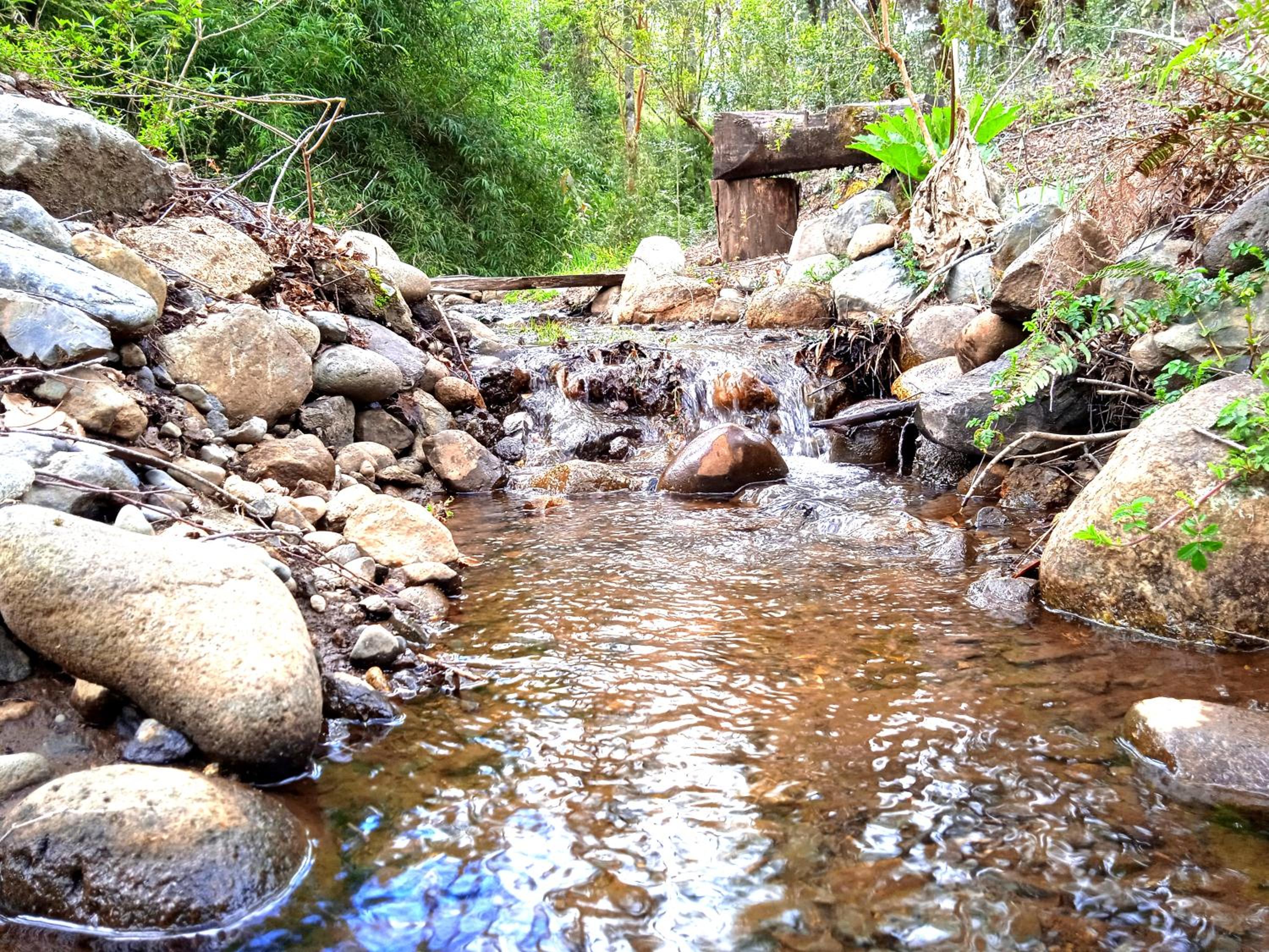 Mi Refugio del Sur