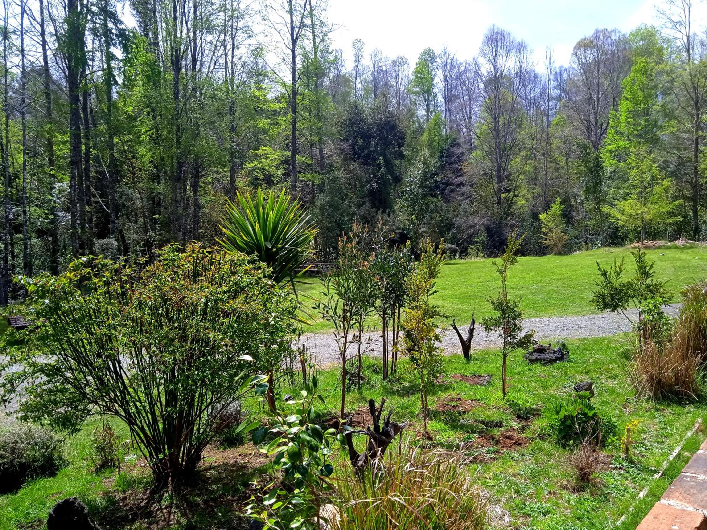 Mi Refugio del Sur