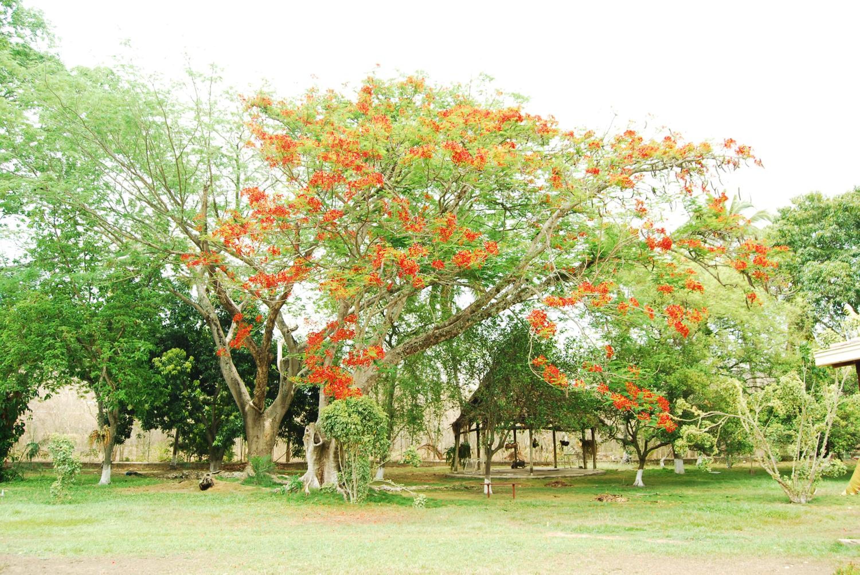 Finca la Querendona