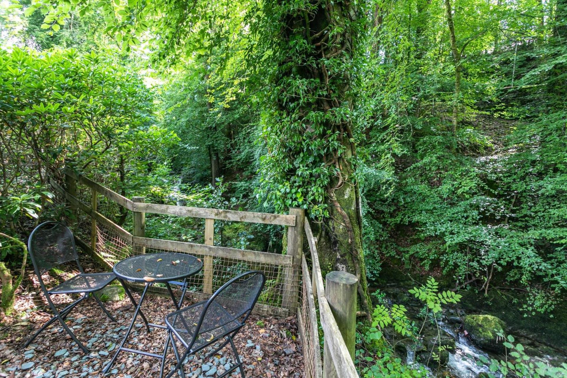 Hollybrook