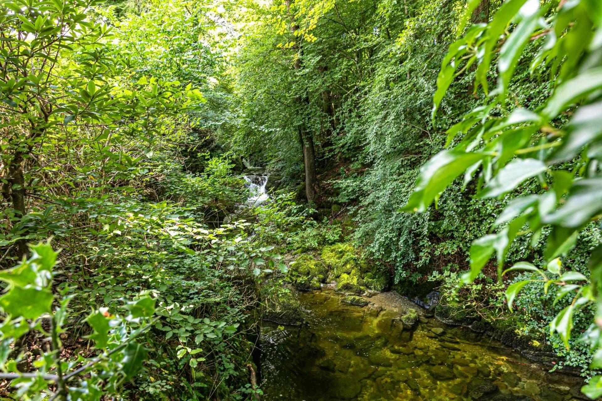 Hollybrook