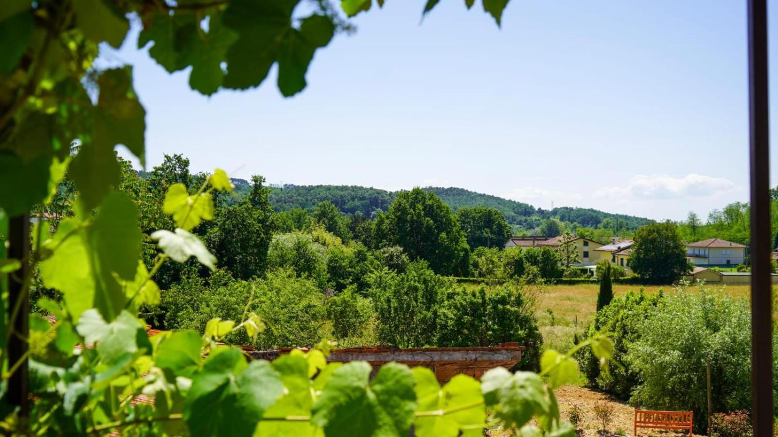 Wine House