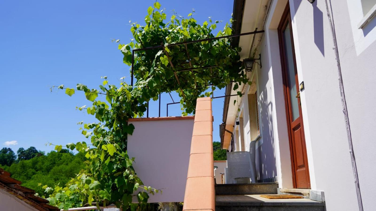 Wine House