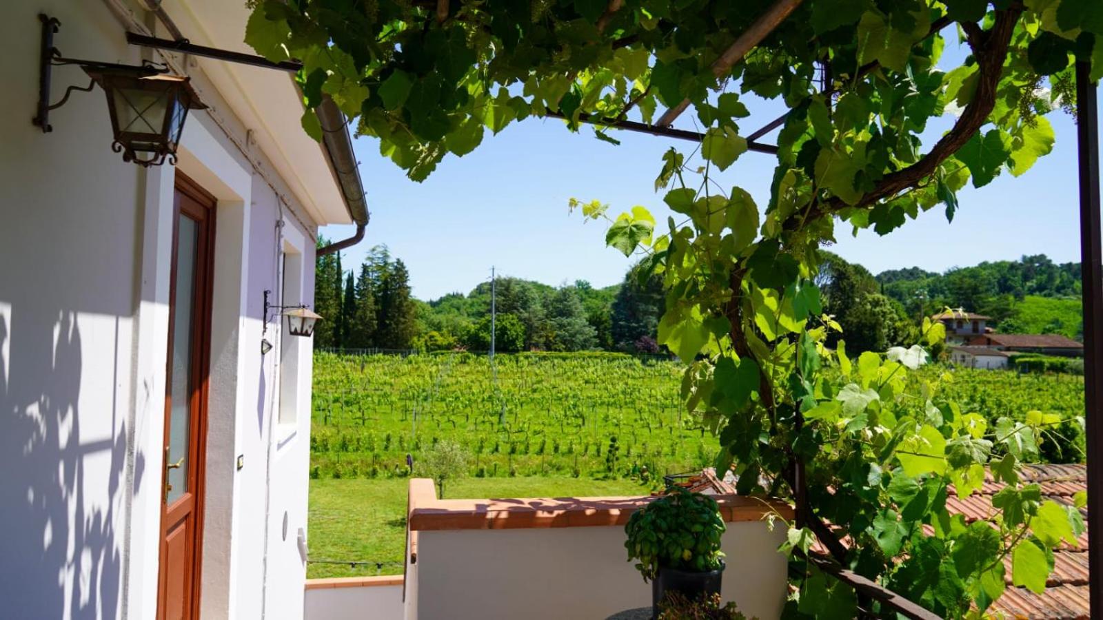 Wine House