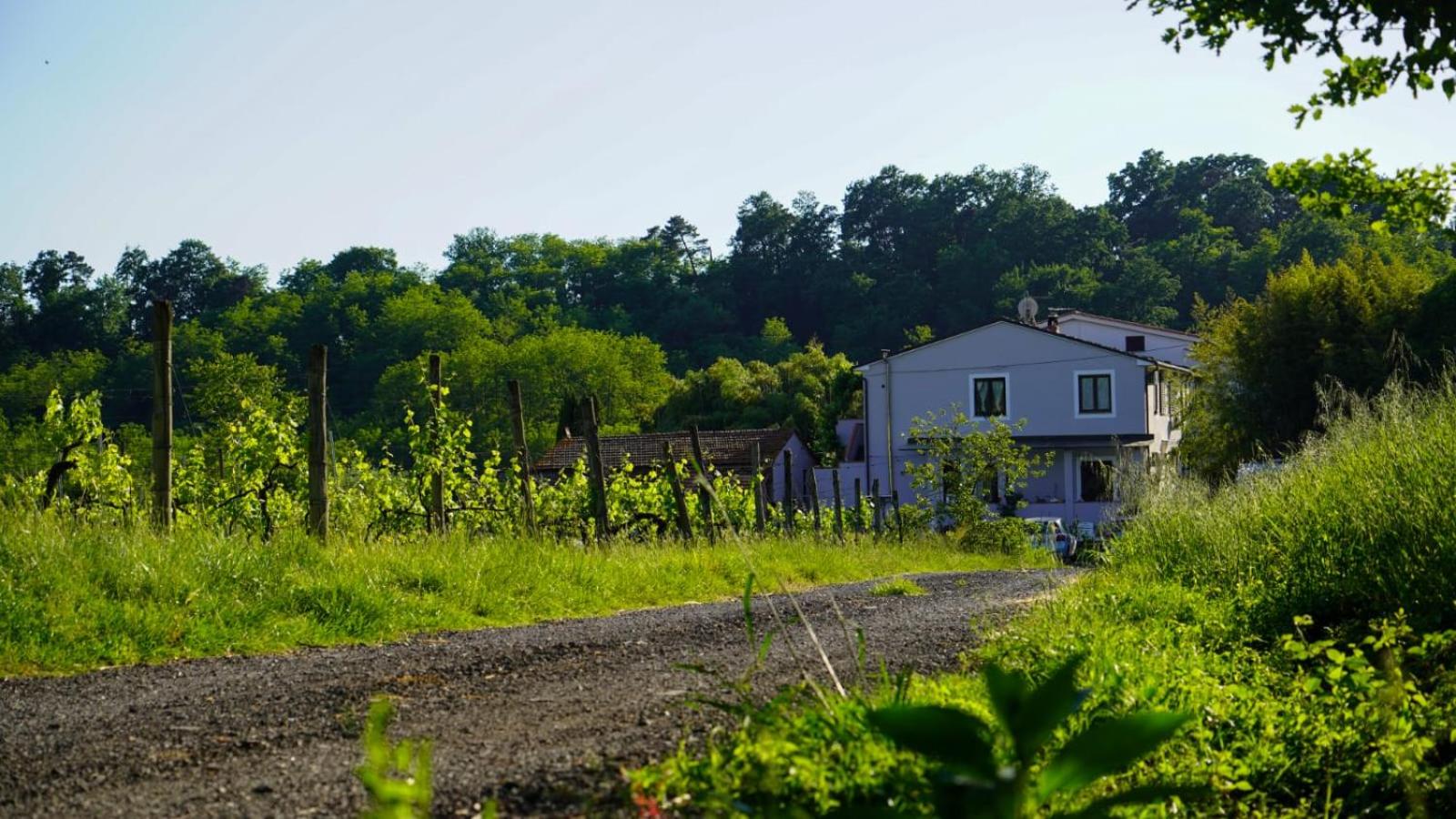 Wine House