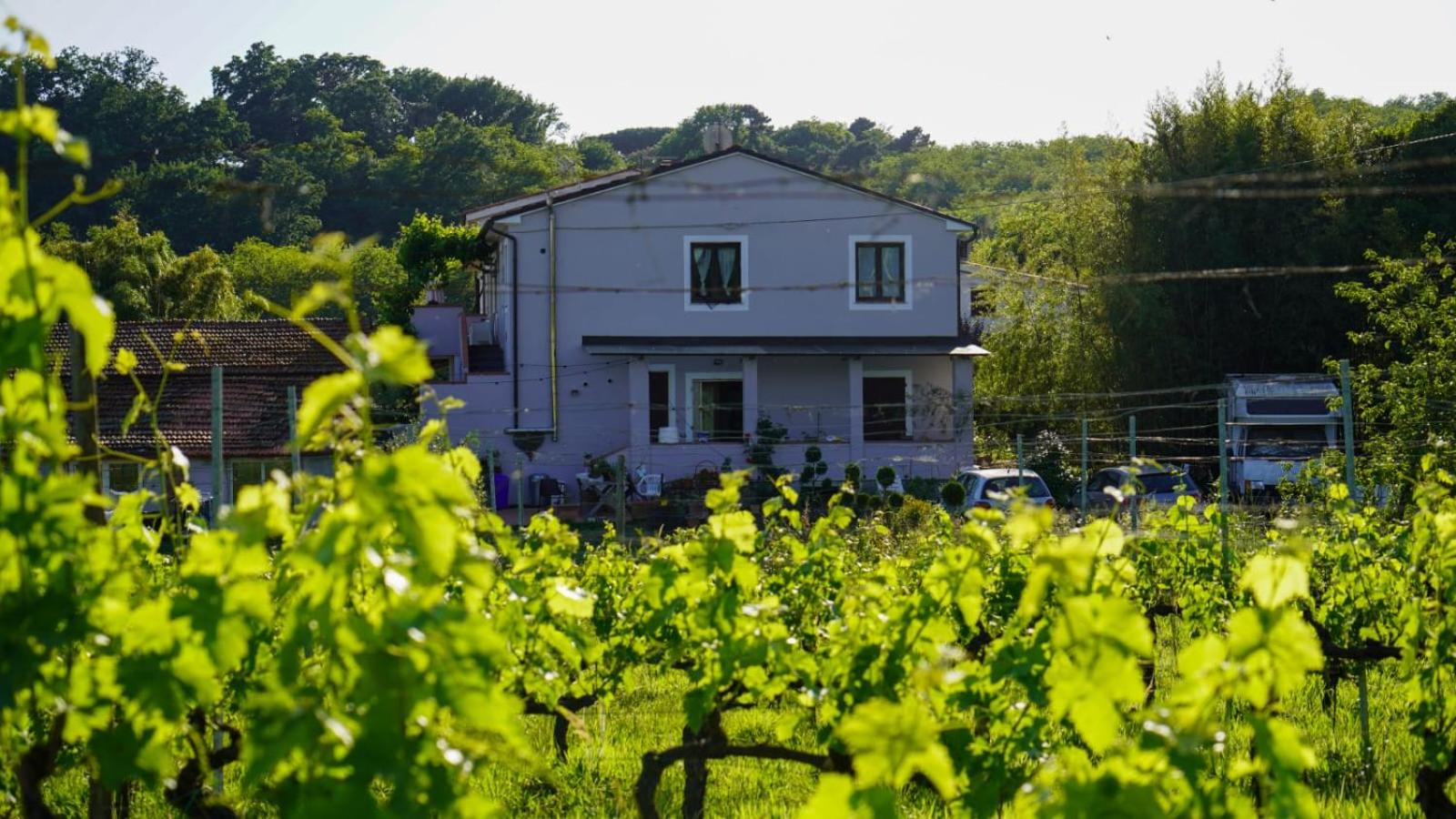 Wine House