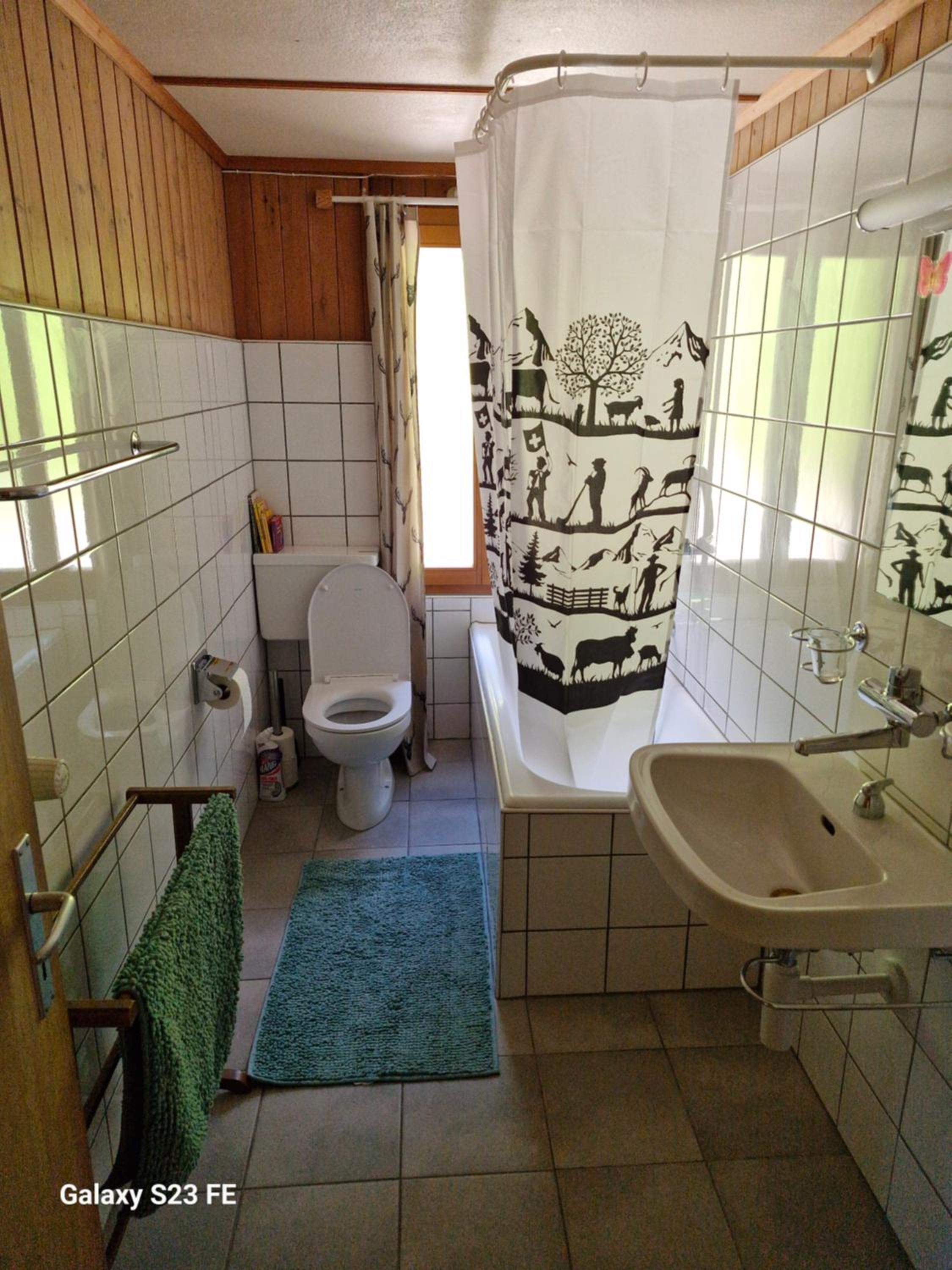 Traditional chalet in Wengen - Parterre or Ground