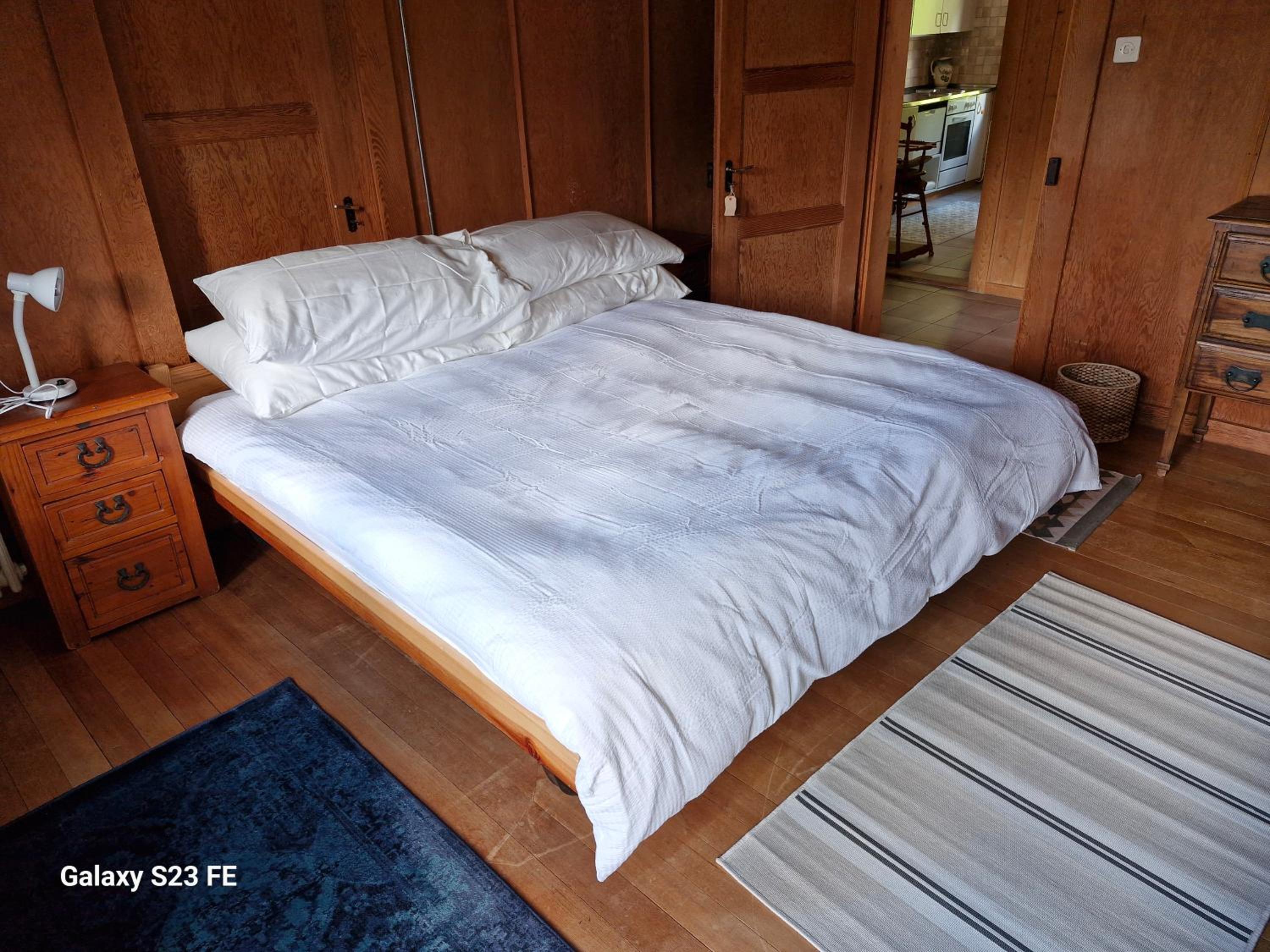 Traditional chalet in Wengen - Parterre or Ground