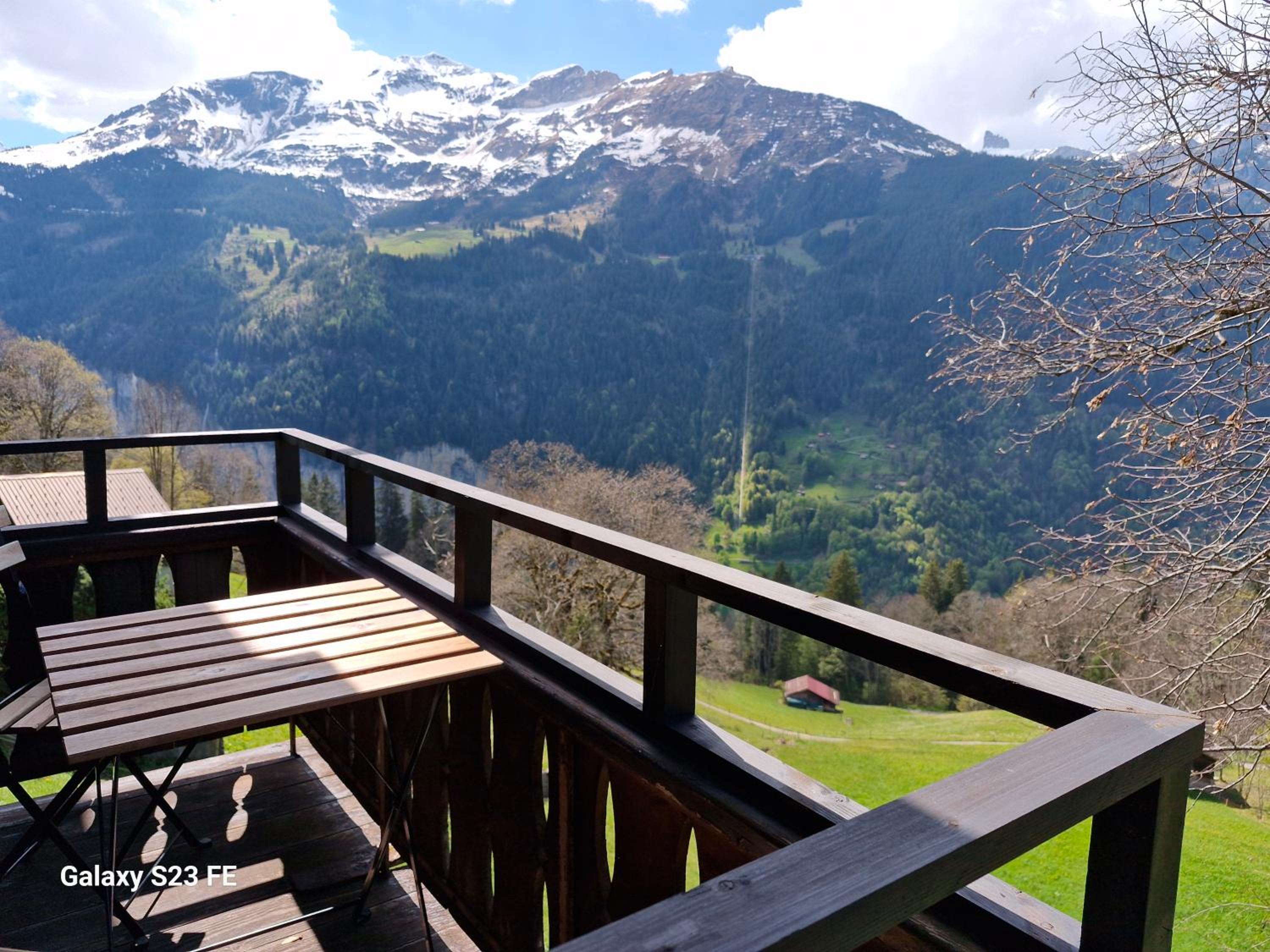 Traditional chalet in Wengen - Parterre or Ground