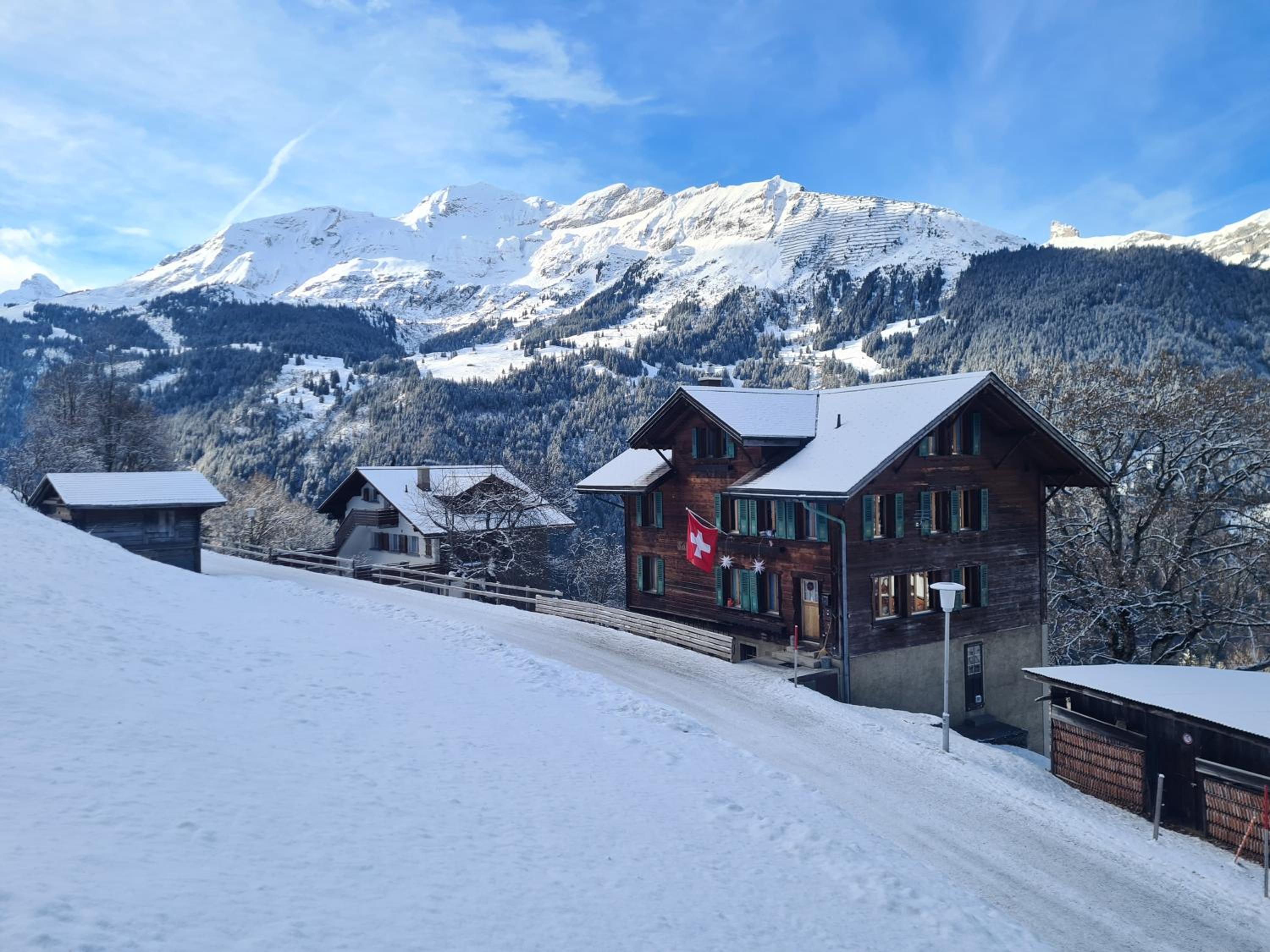 Traditional chalet in Wengen - Parterre or Ground
