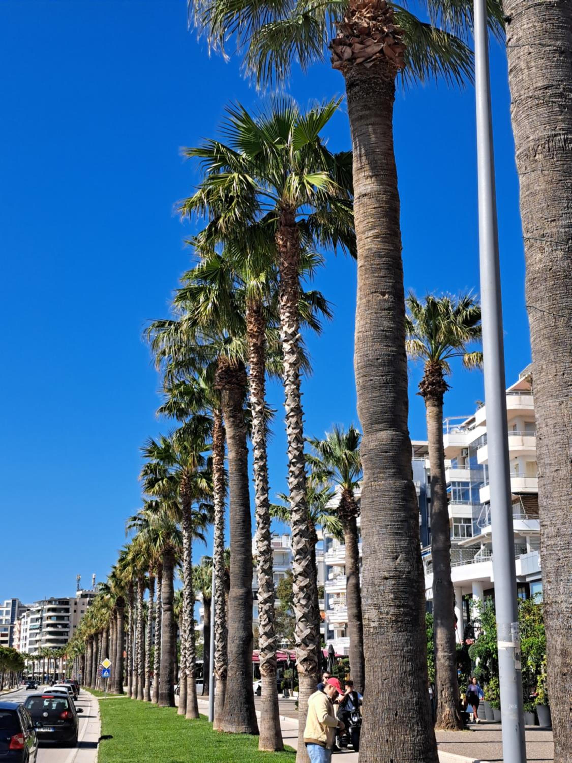 Vlora Bay