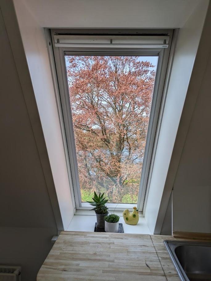Gæstehus Sorø Sø