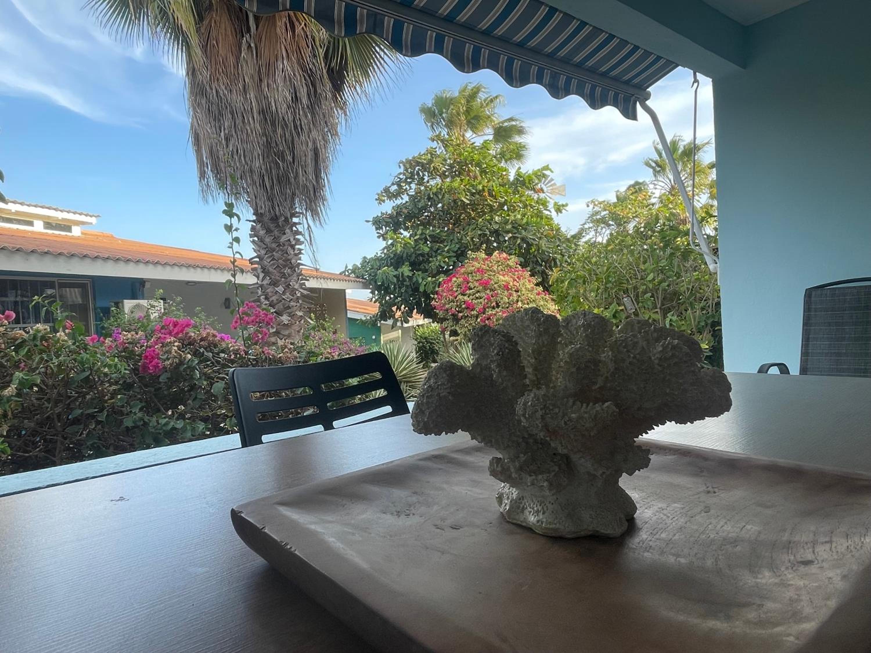 Kas di BaMi A-194 op Seru Coral Resort - Ruim appartement met groot zwembad en tropische tuin