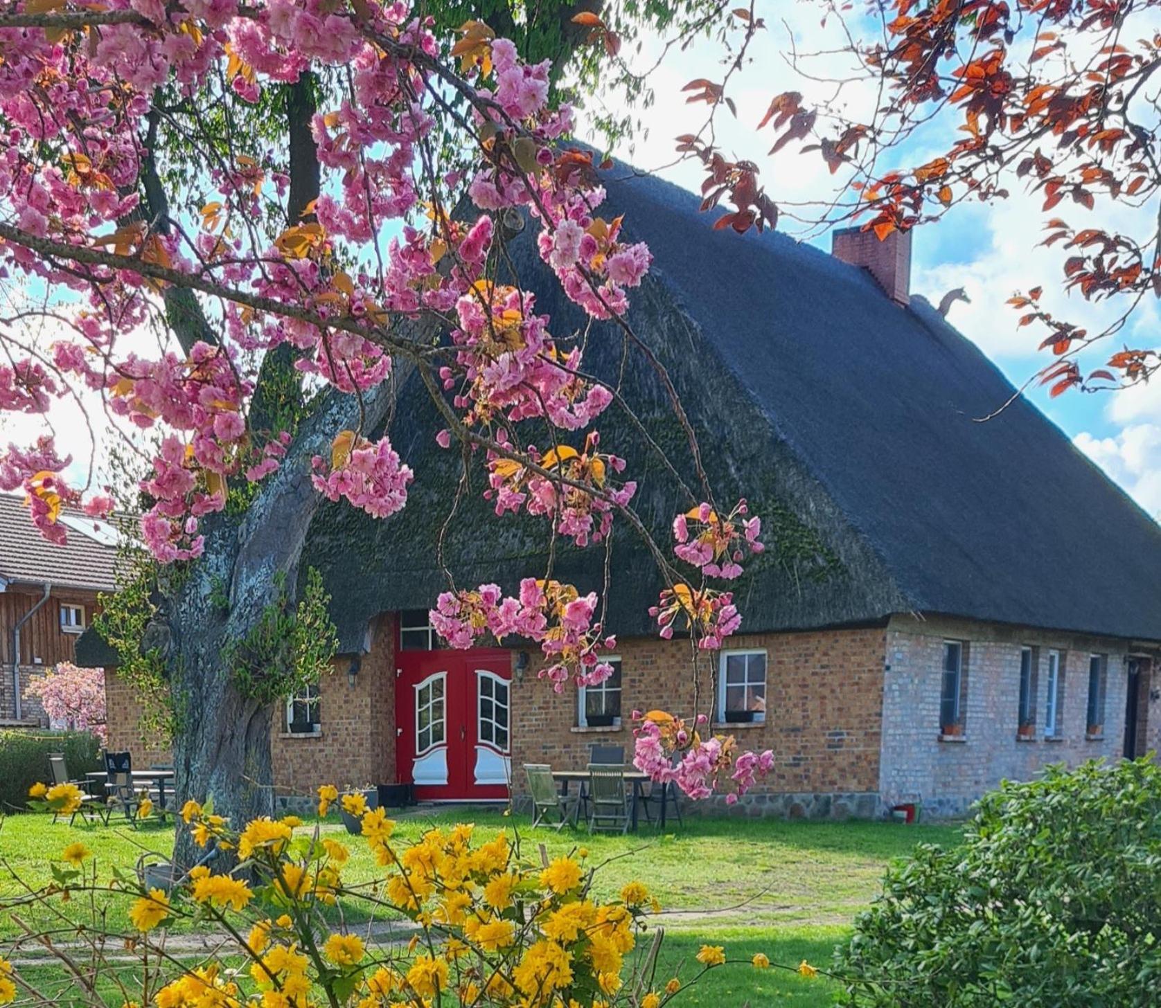 Bauernhaus Dierhagen