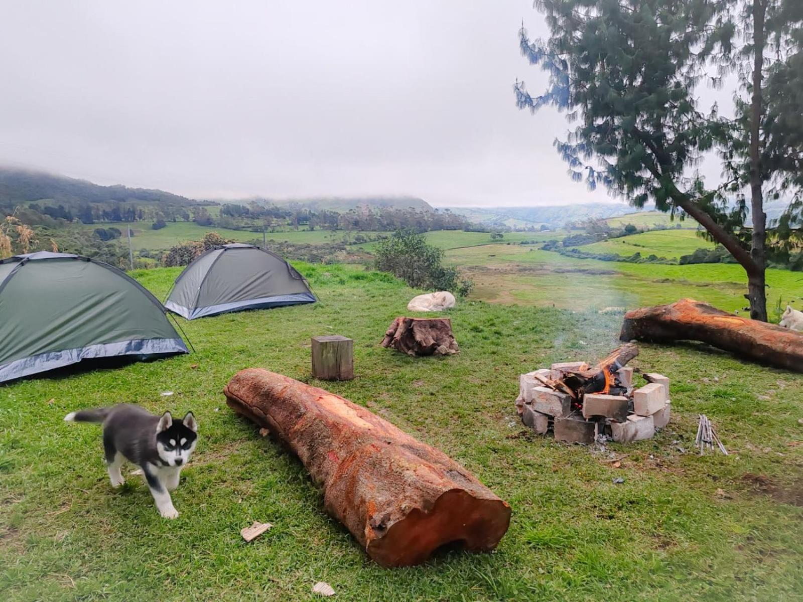Ecolodge Farm R&R Siberians view 3