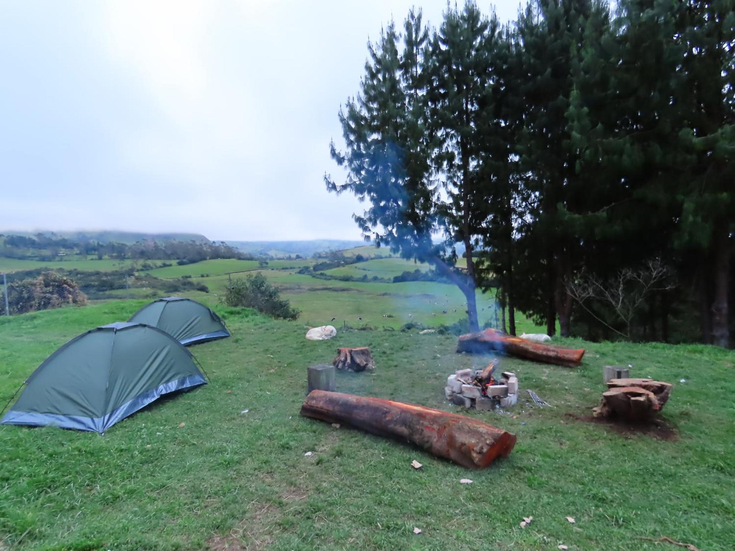 Ecolodge Farm R&R Siberians view 4
