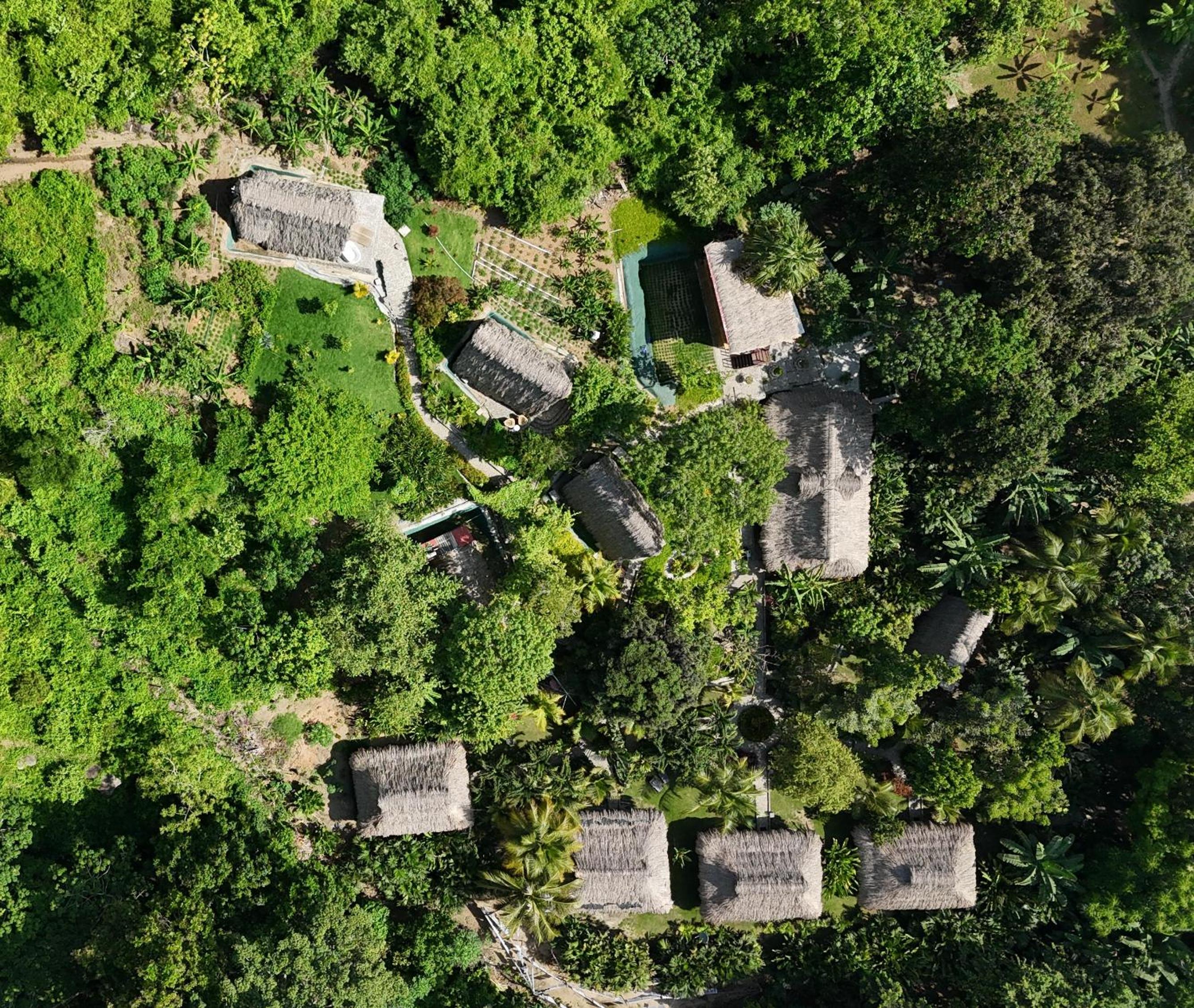 Hotel Ecohabs Bamboo Parque Tayrona - Dentro del PNN Tayrona