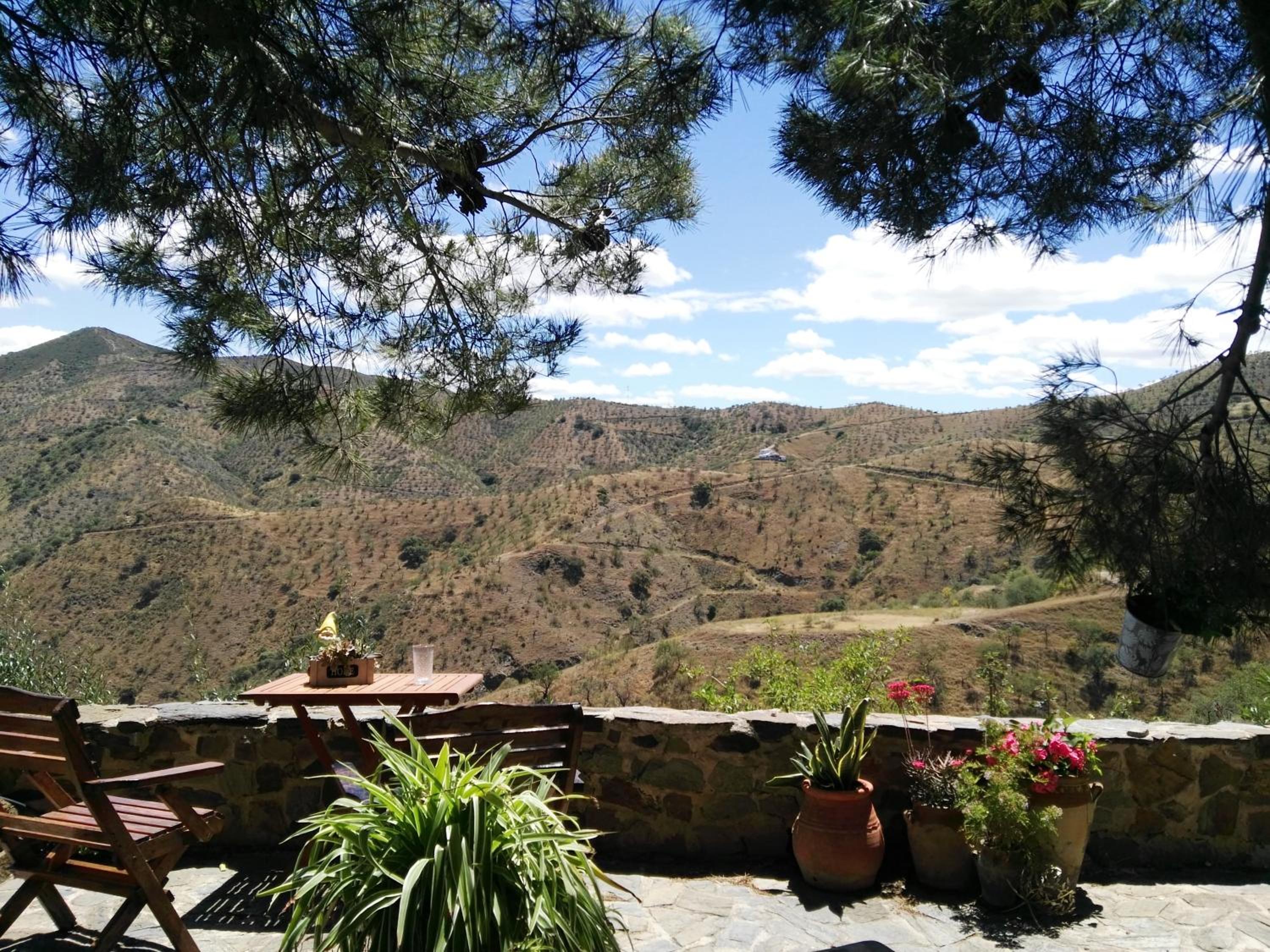 Pinar El Almendra