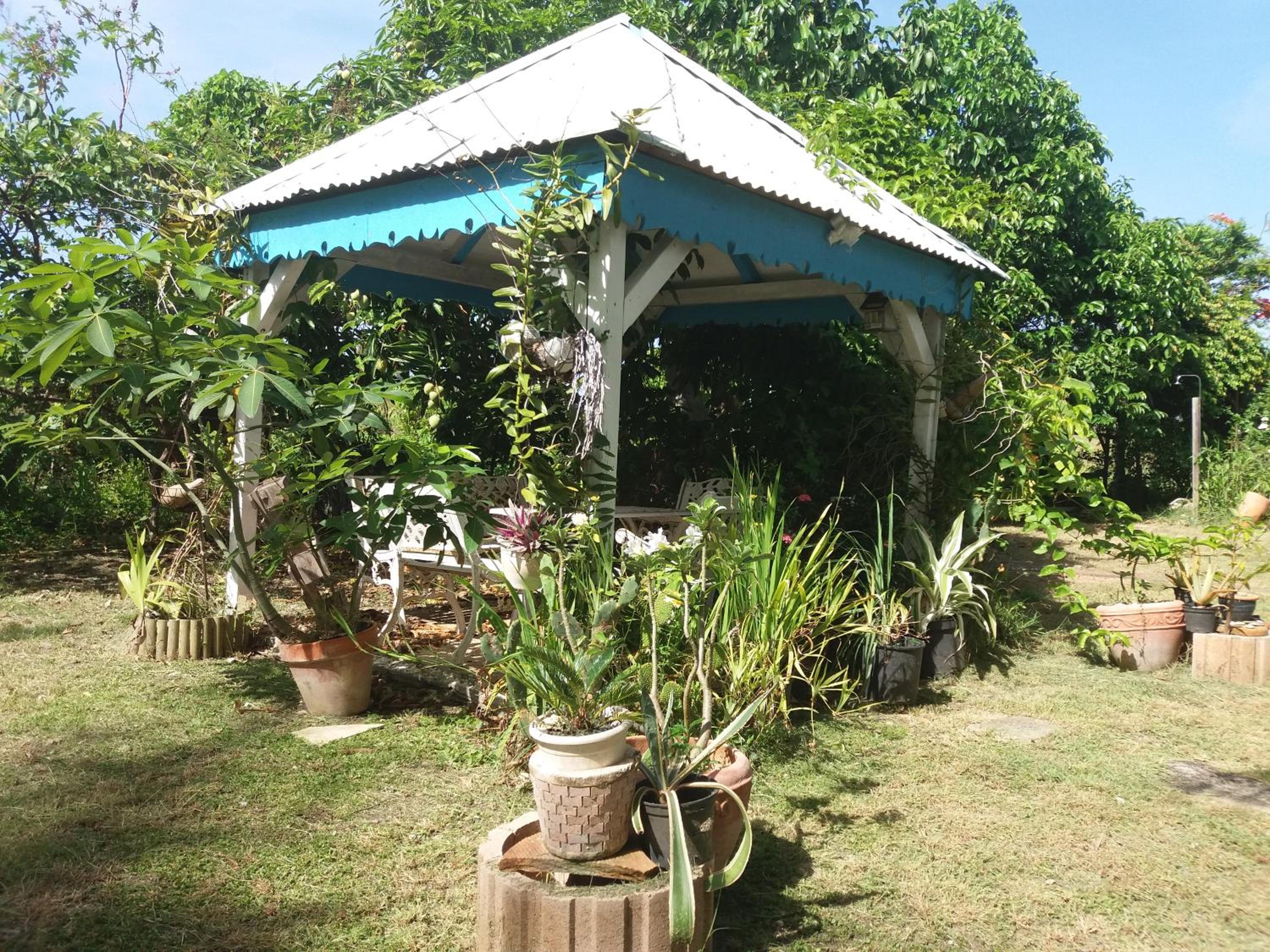 Photo 7