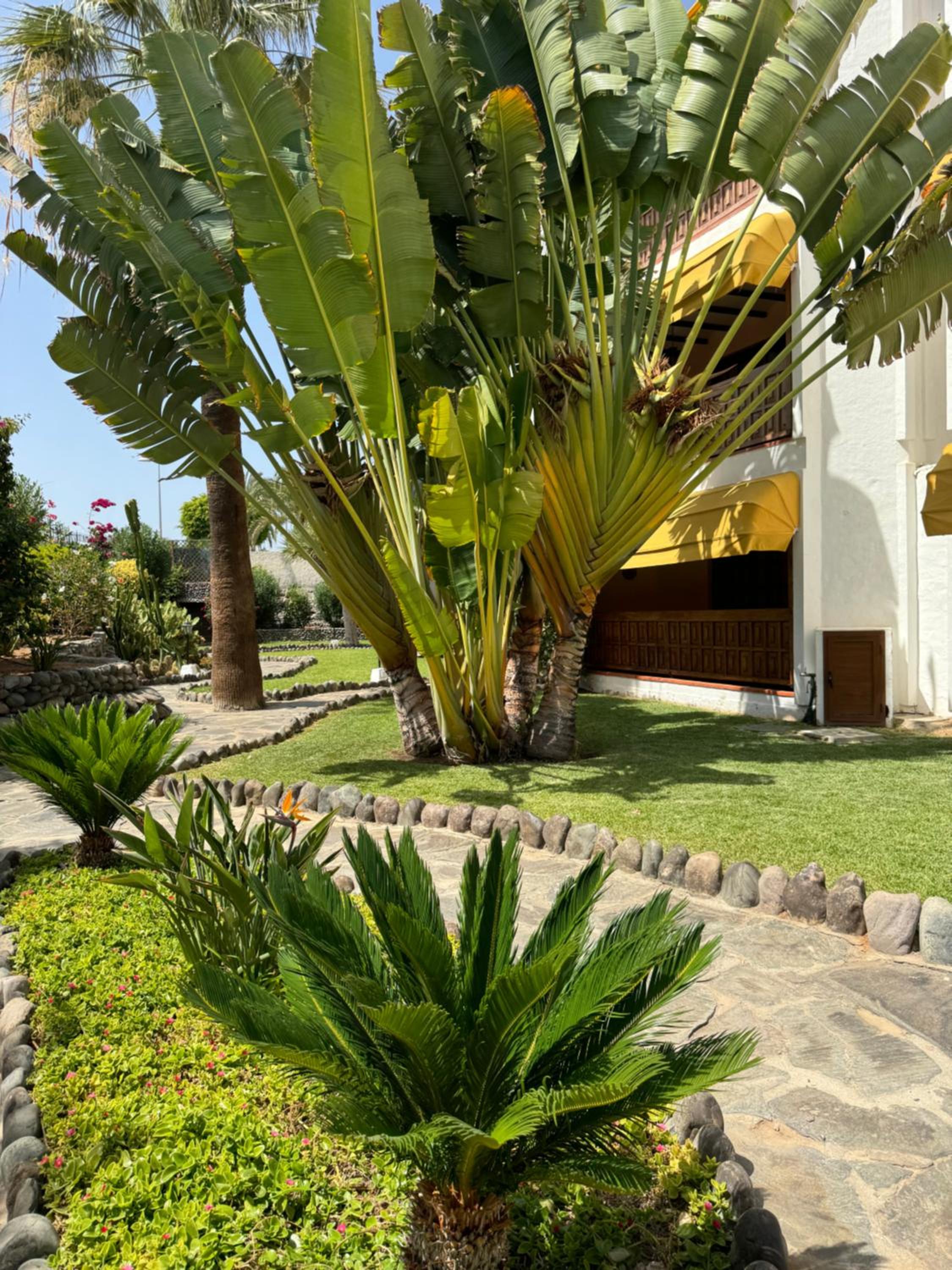Canario Dunes Apartment