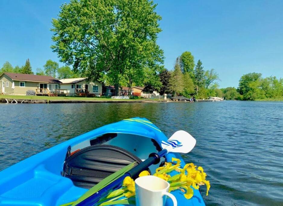 Bella Vita Waterfront Cottage in Havelock