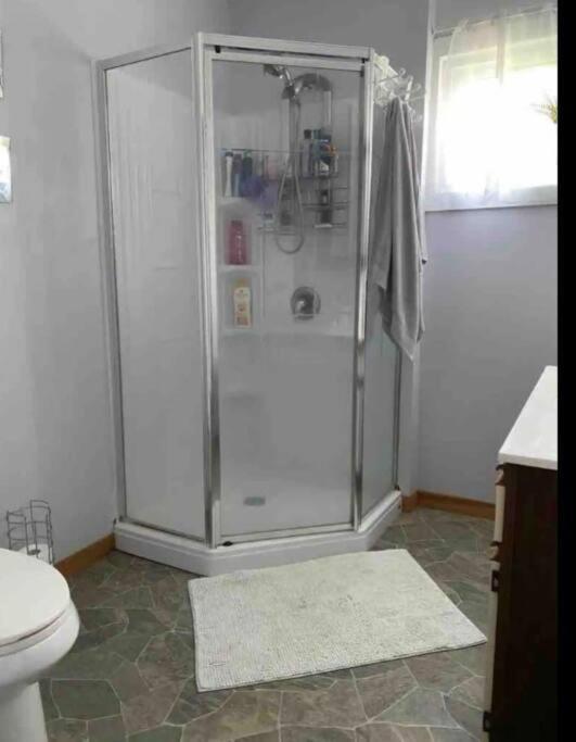 Bella Vita Waterfront Cottage in Havelock