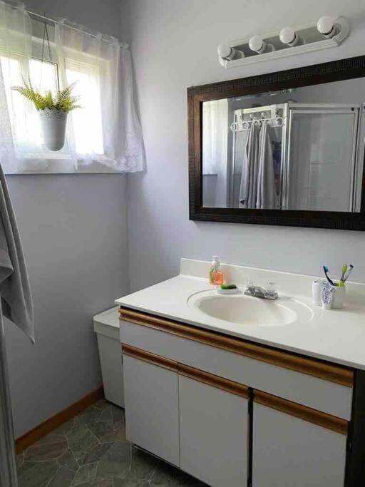 Bella Vita Waterfront Cottage in Havelock