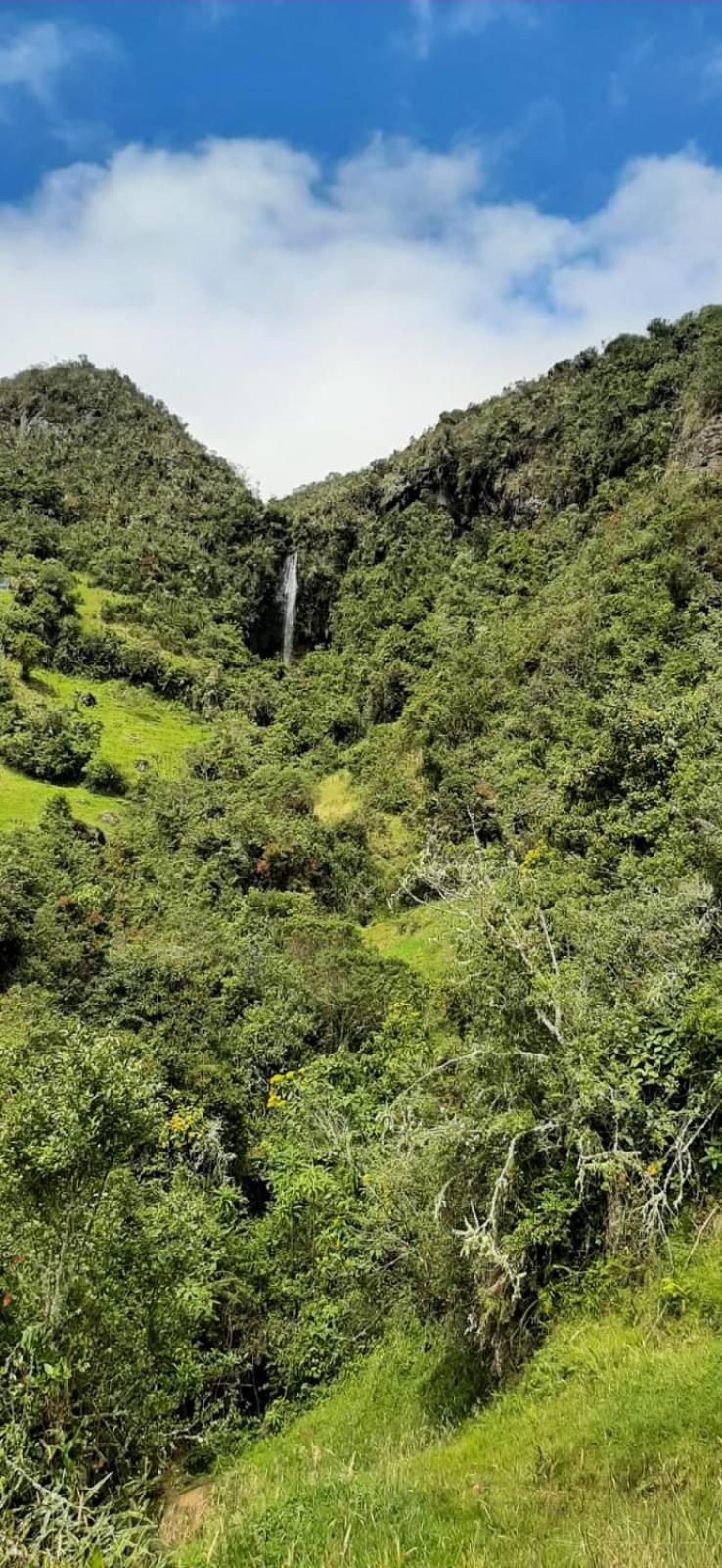 Cabaña Lato_puzhio