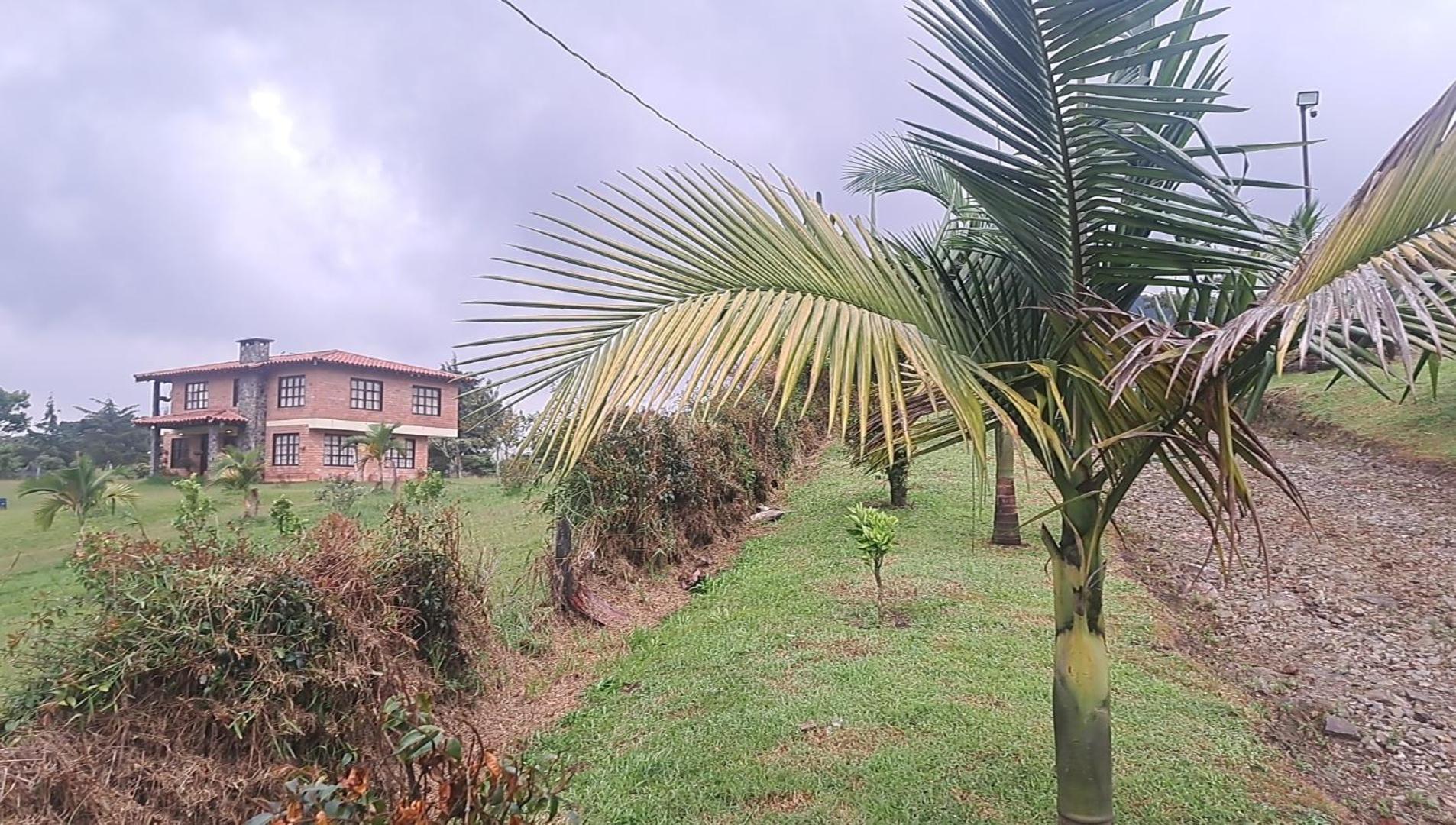 Villa El Shaddai