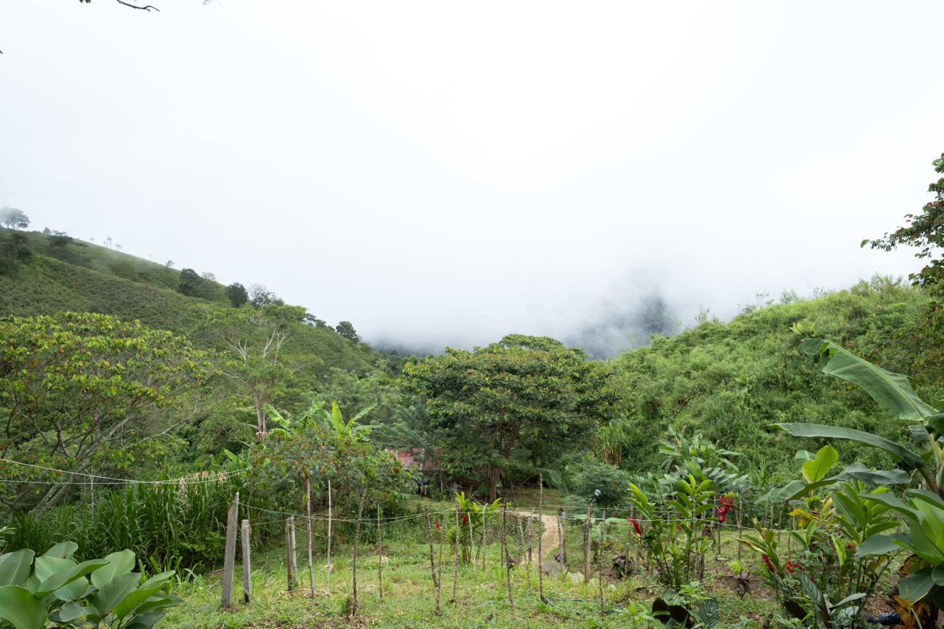 hospedaje en Minca Paraiso de la sierra