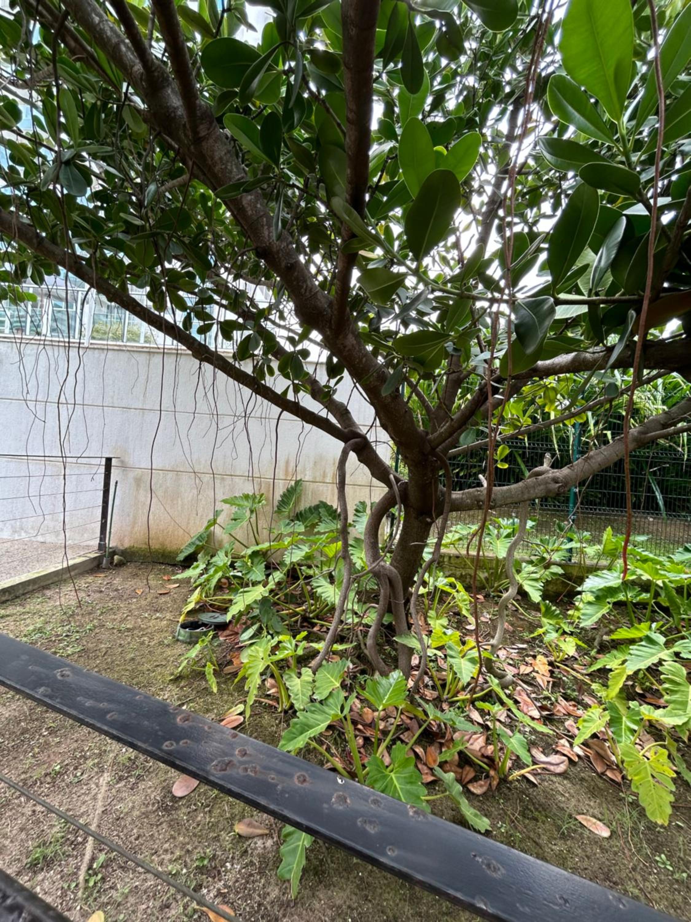Apto RioCentro, Parque Olímpico Barra da Tijuca RJ