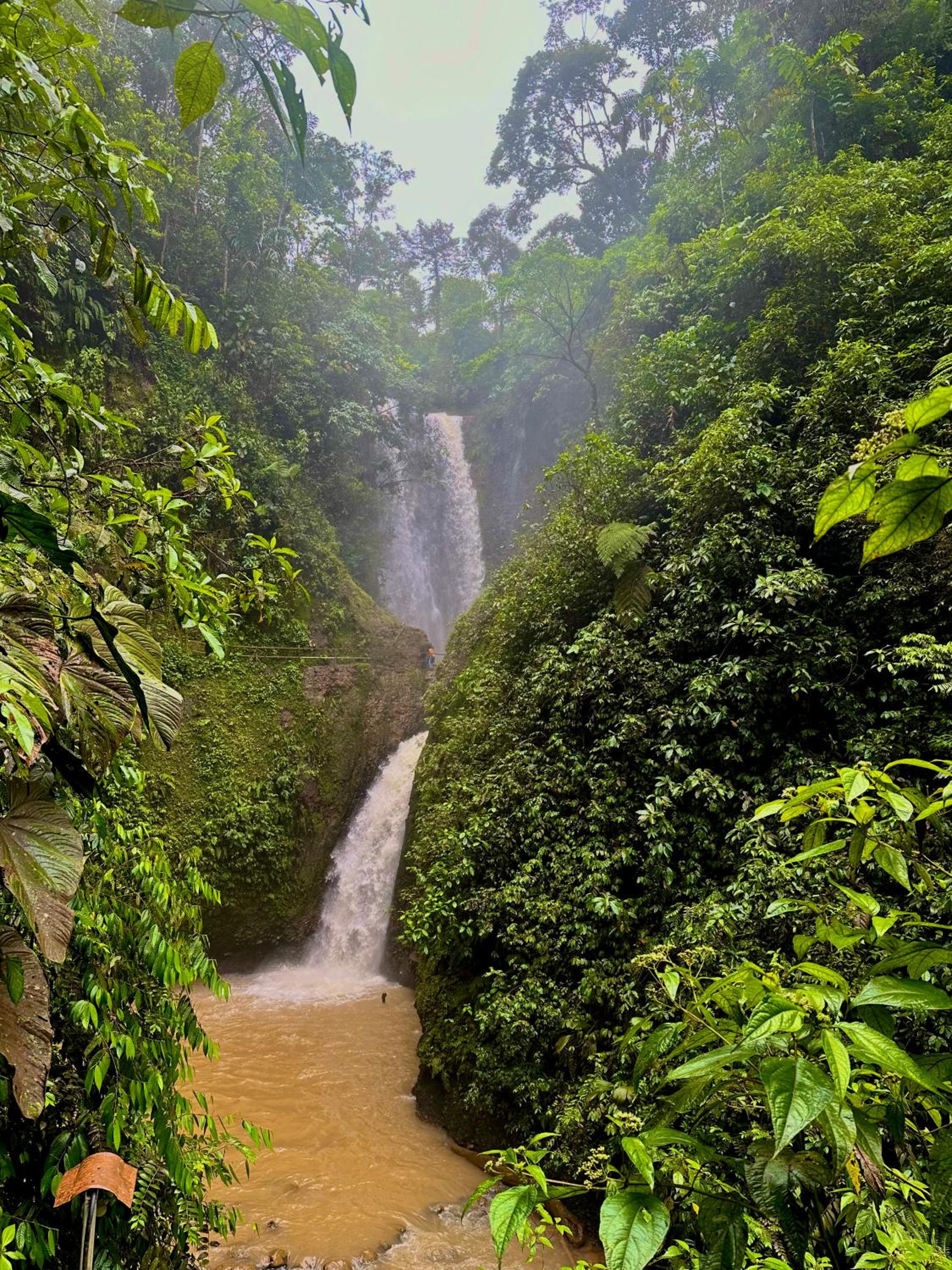 Amazon Puyu Glamping