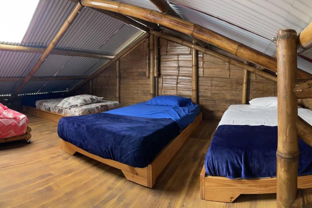 Glamping Mirador de Estrellas Finca Villa Jilito