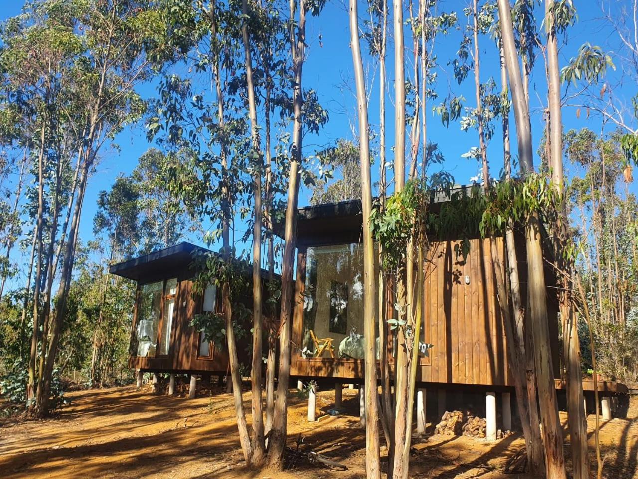 Flor del Pangal hostal boutique