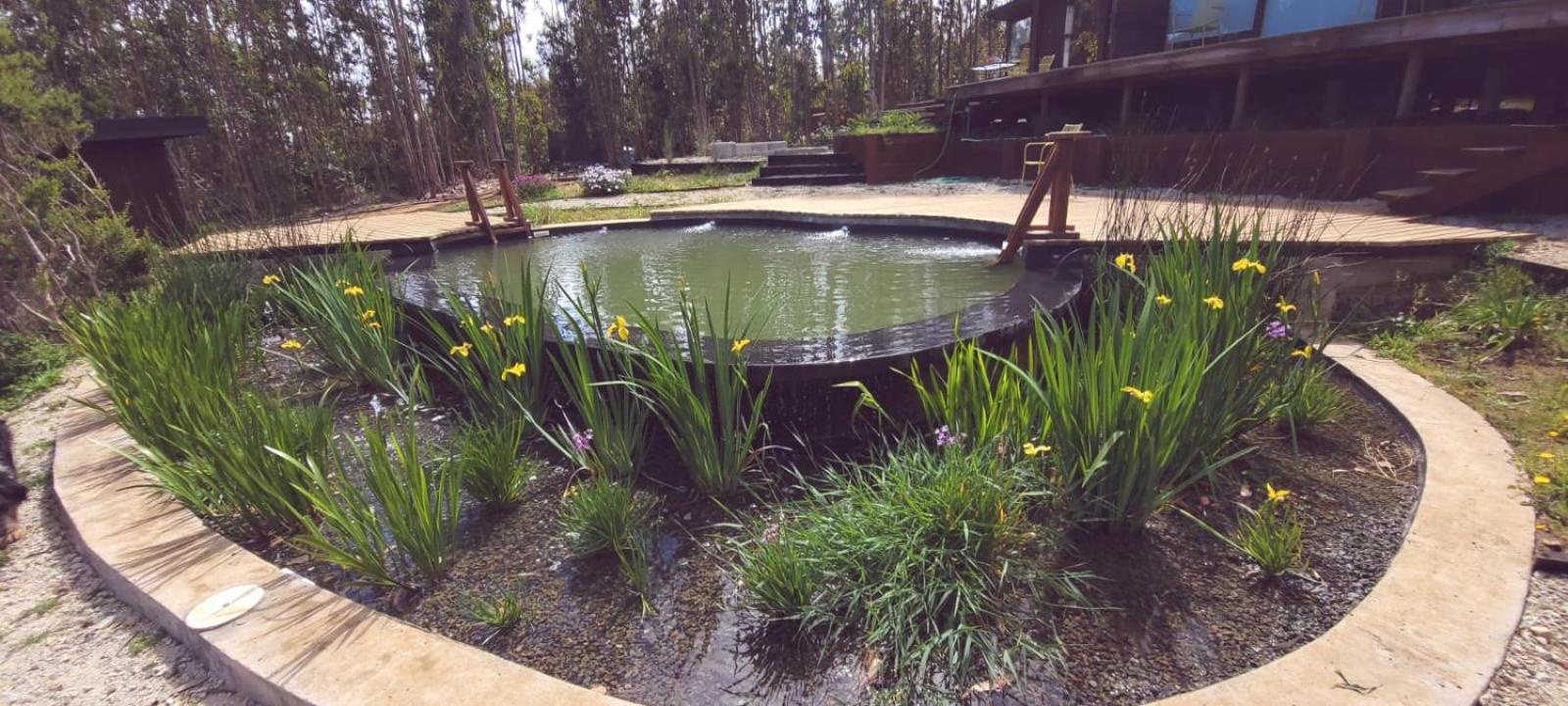 Flor del Pangal hostal boutique