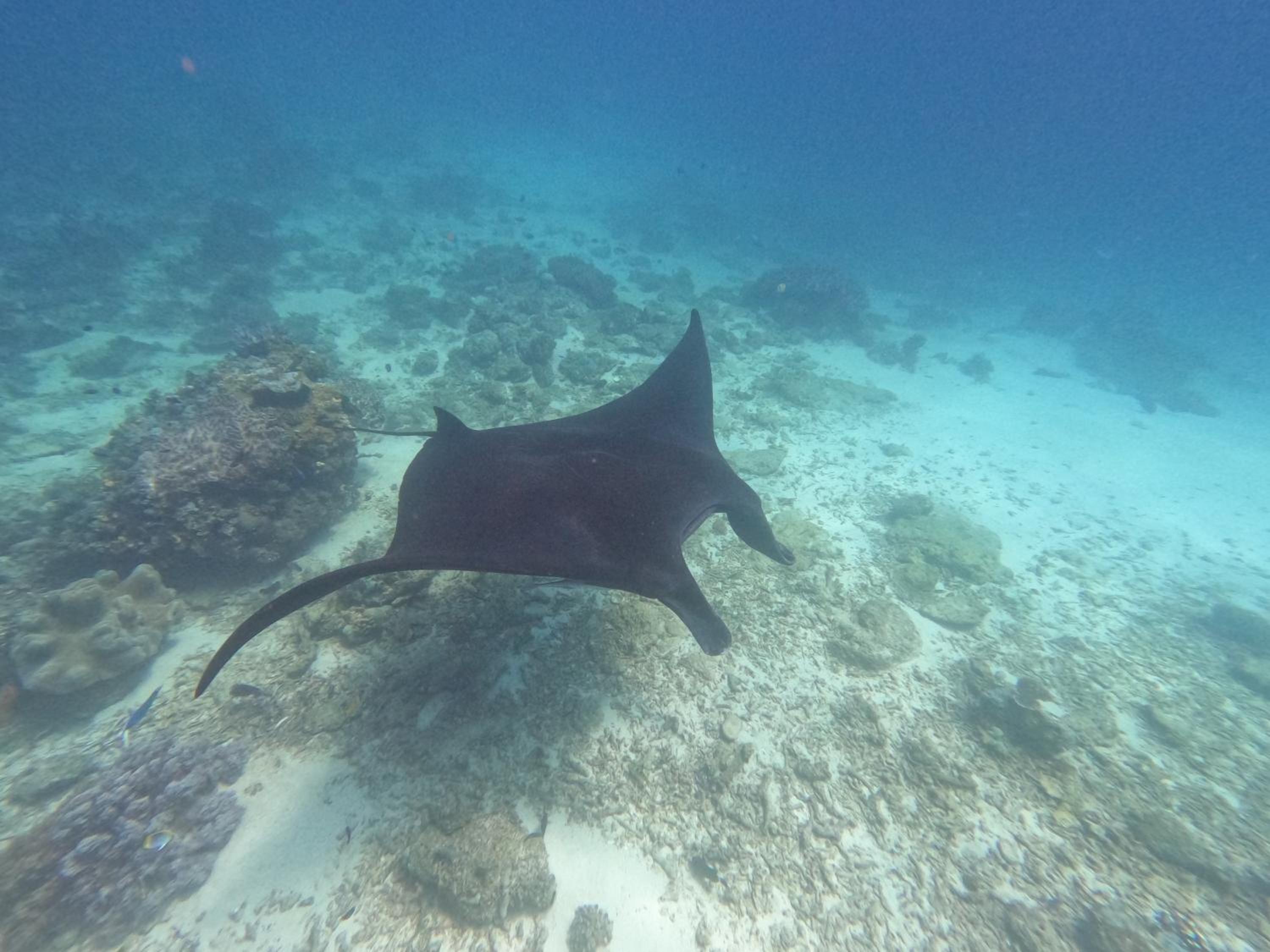 Snonbepur homestay Raja Ampat