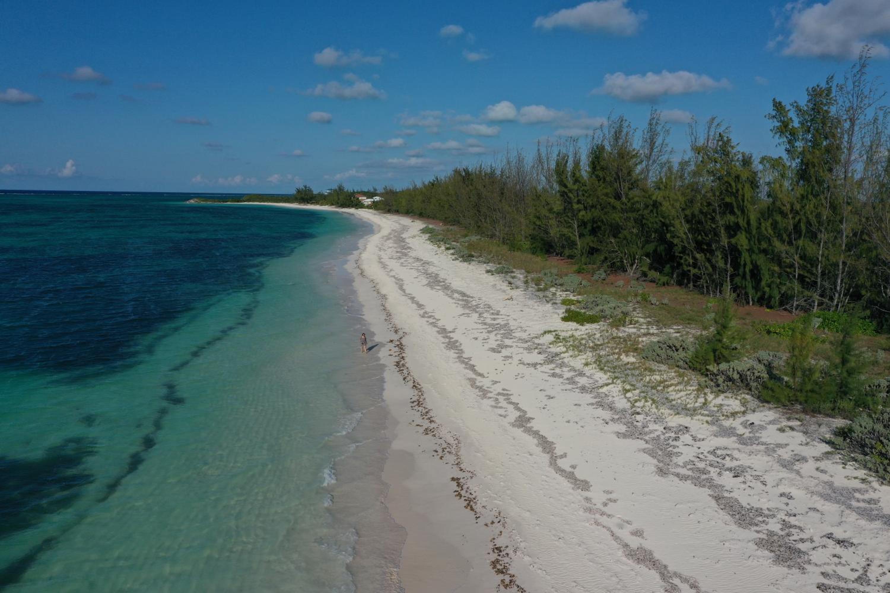 Slow M'Ocean Paradise - Photo 14