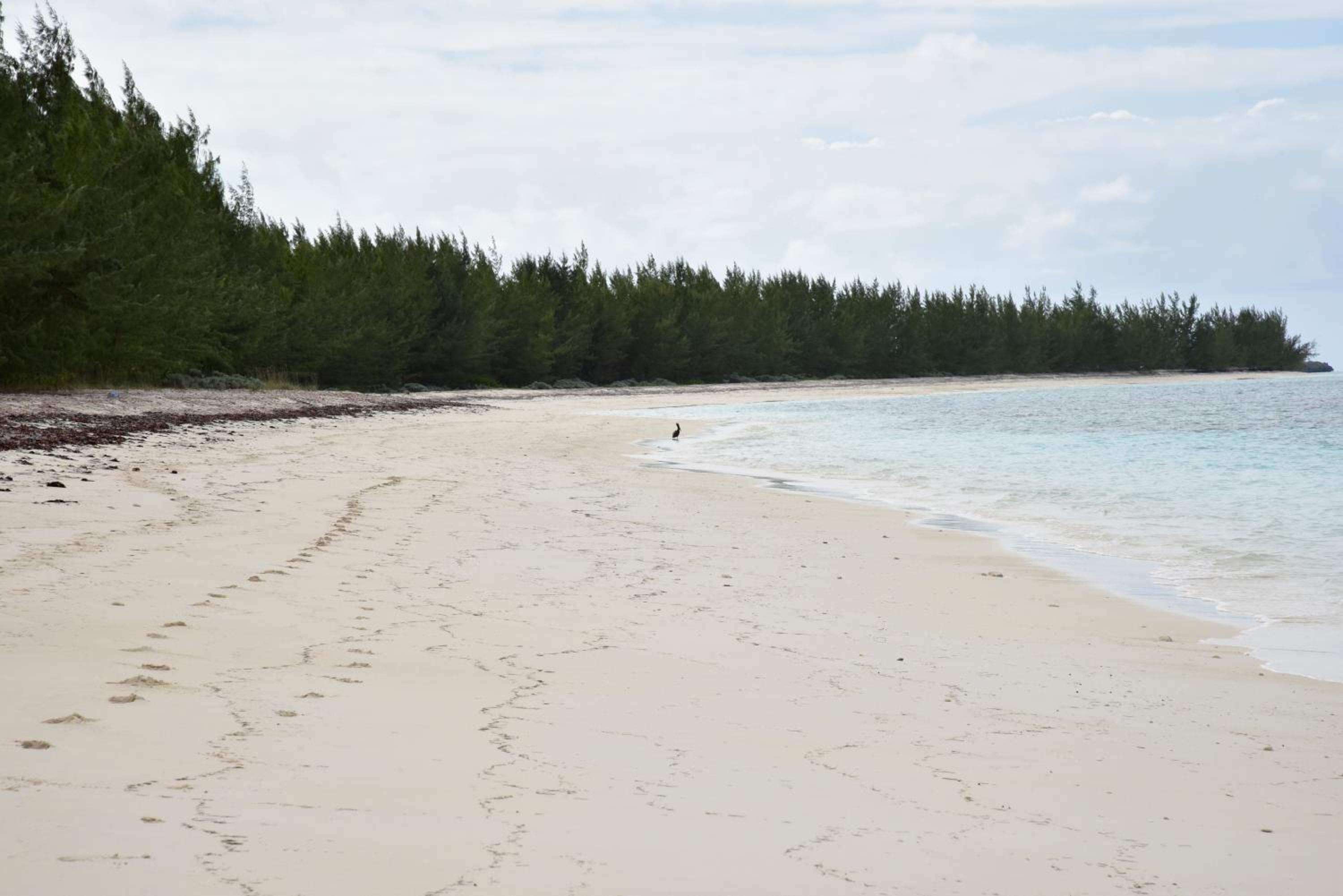 Slow M'Ocean Paradise - Photo 13