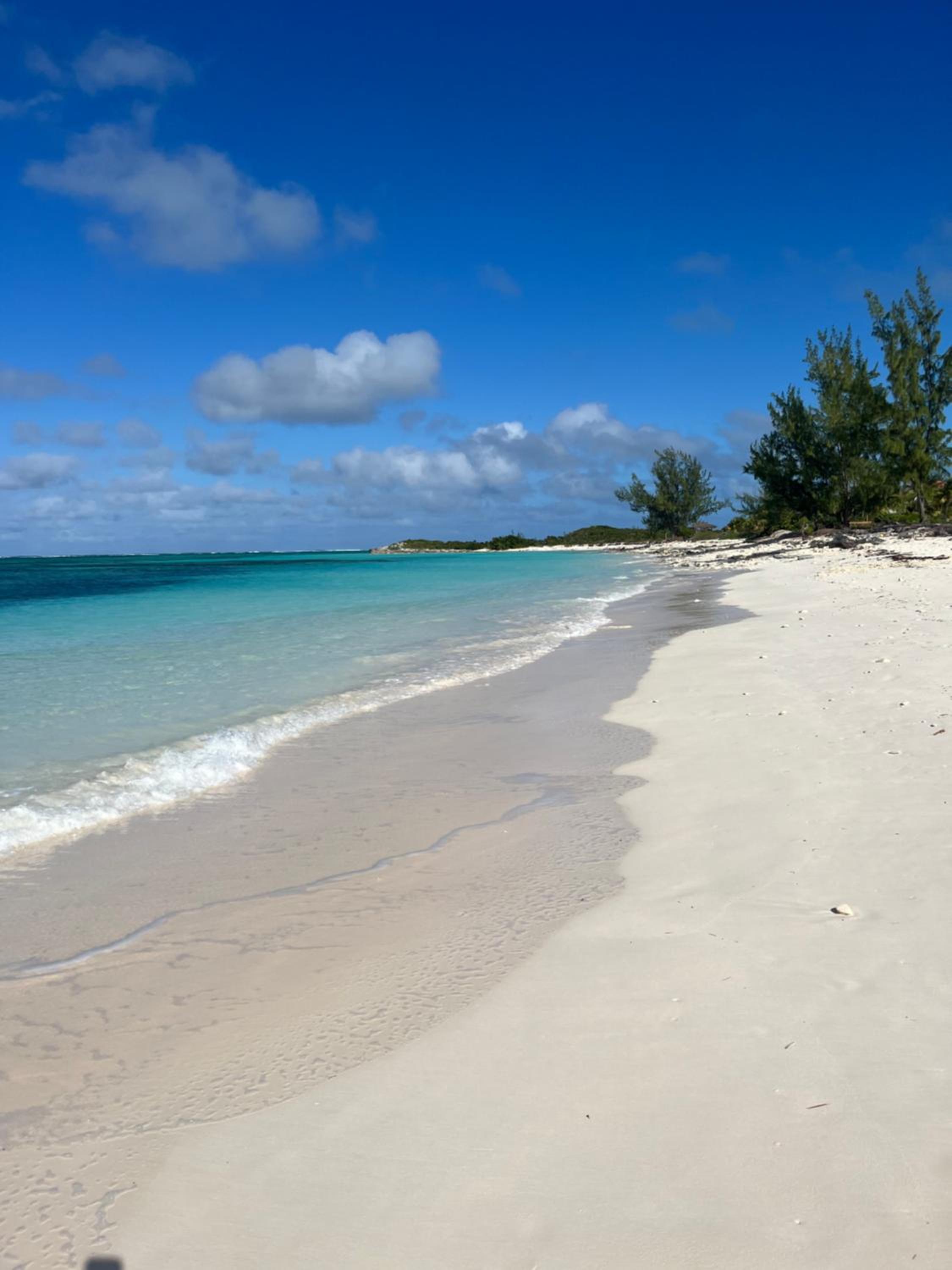Slow M'Ocean Paradise - Photo 6