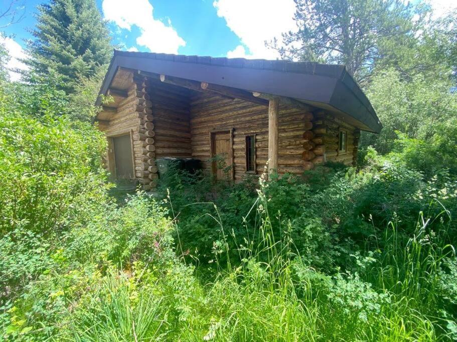 Aspen's Cabin