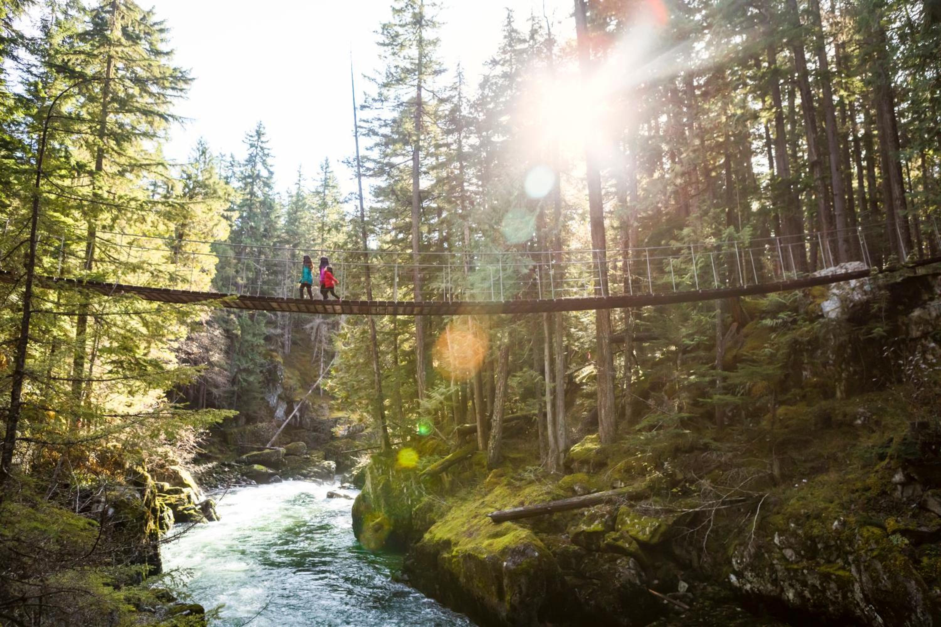 Bear Lodge, Whistler Village - Spectacular Location on Village Stroll, Designer Remodel