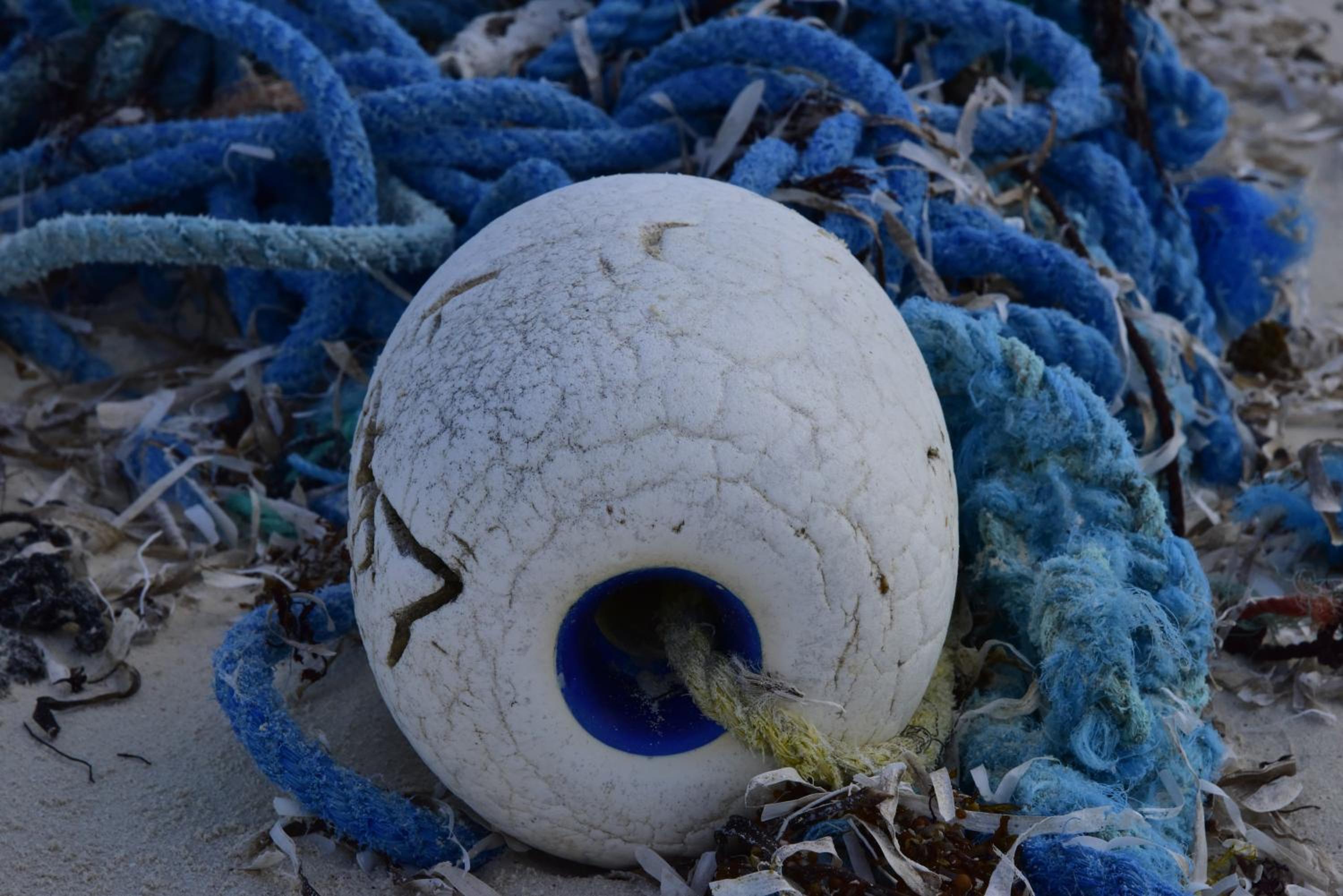 Slow M'Ocean Paradise - Photo 19