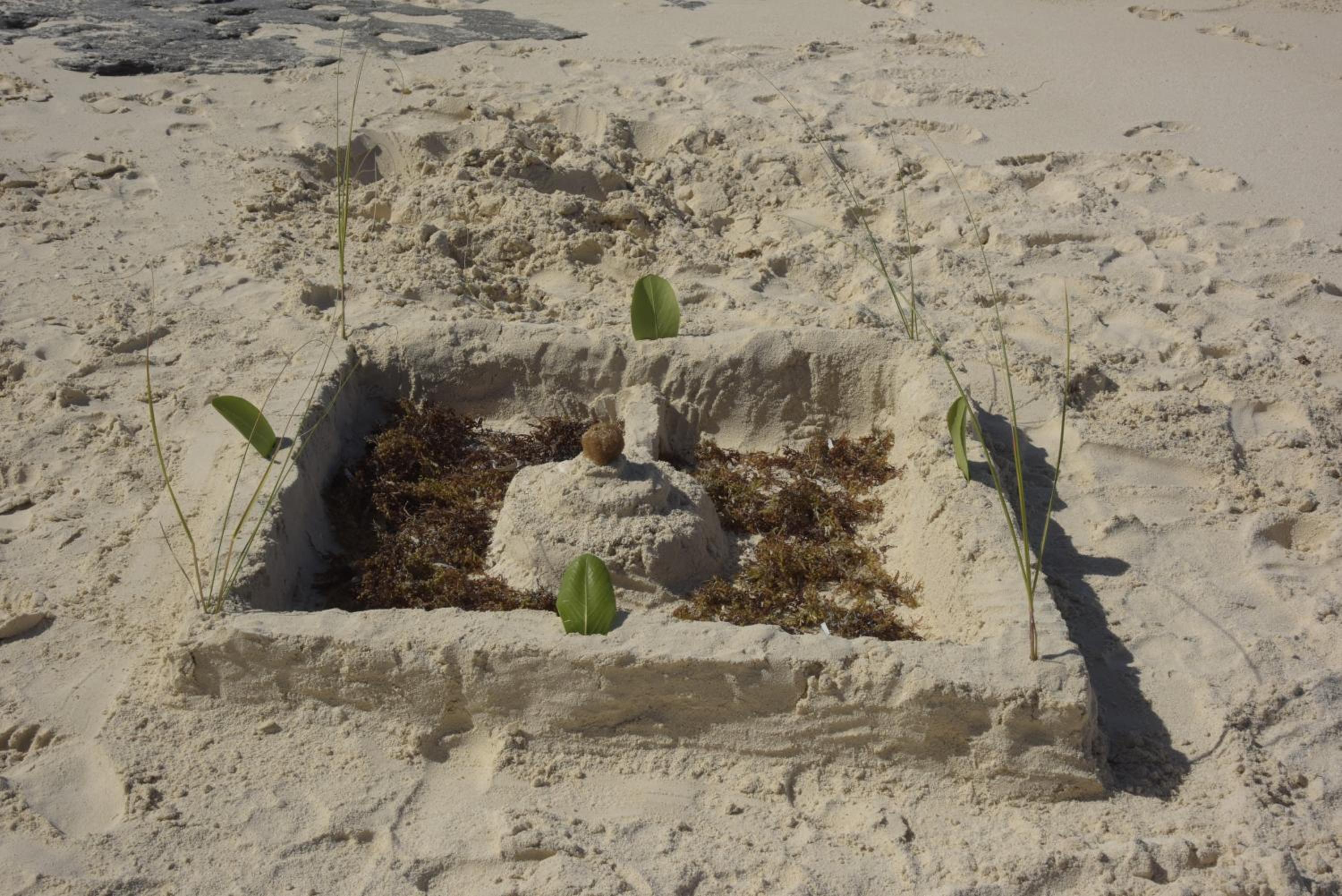 Slow M'Ocean Paradise - Photo 16