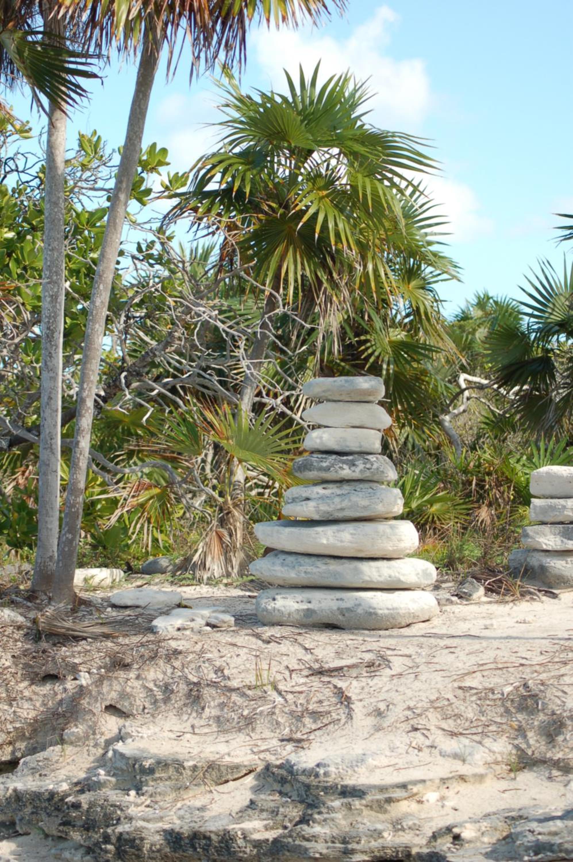 Slow M'Ocean Paradise - Photo 28
