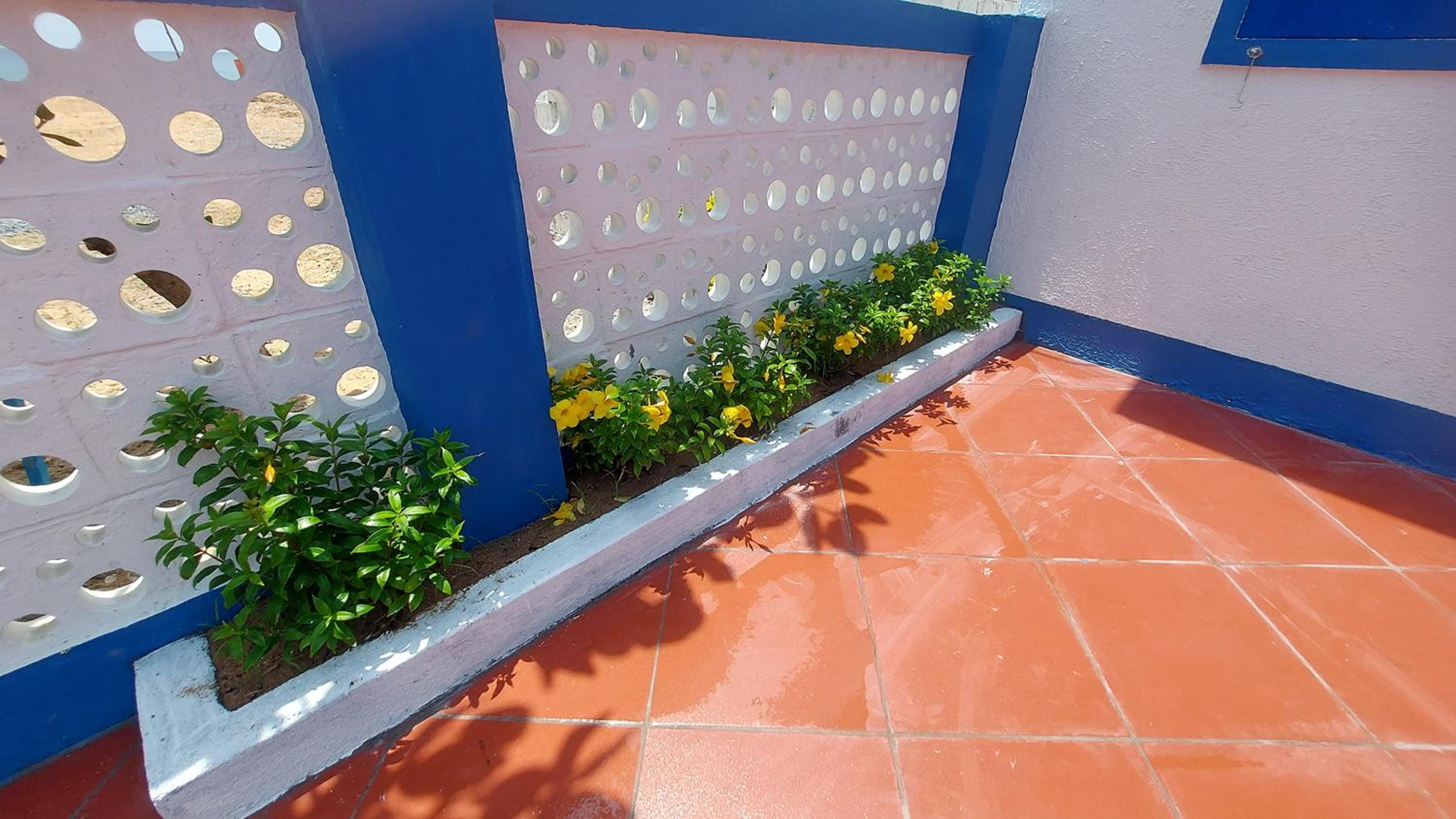 Homestay Bọt Biển I