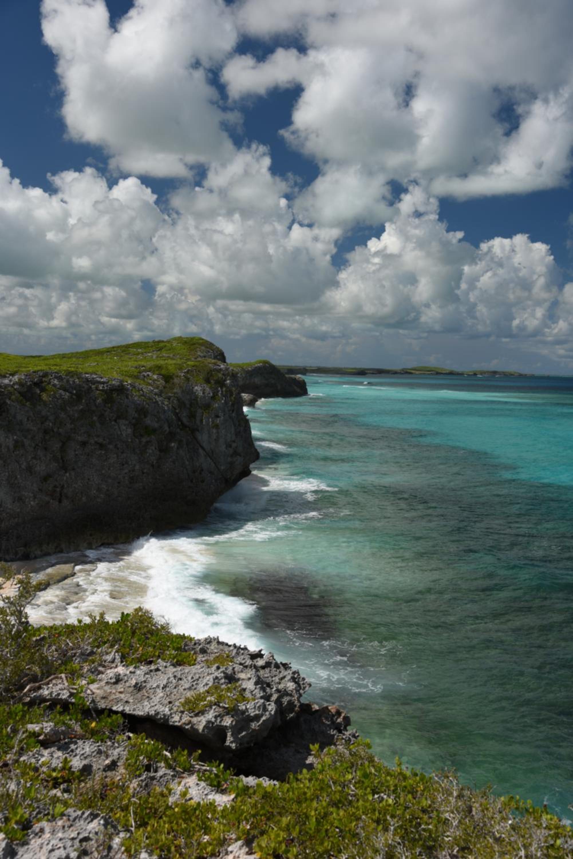 Slow M'Ocean Paradise - Photo 20