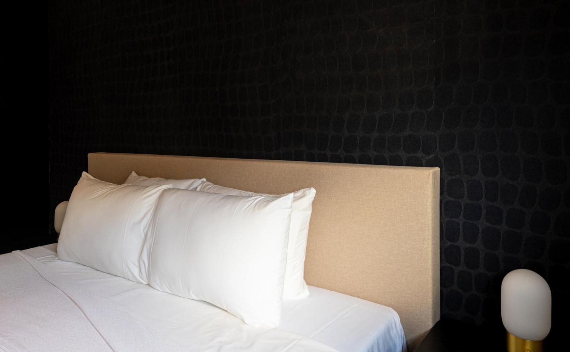 Palm Tree Curaçao - A brand new Penthouse just minutes from the beach