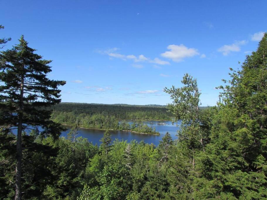 The Eagle's Landing on Minamkeak Lake - A Serene Escape